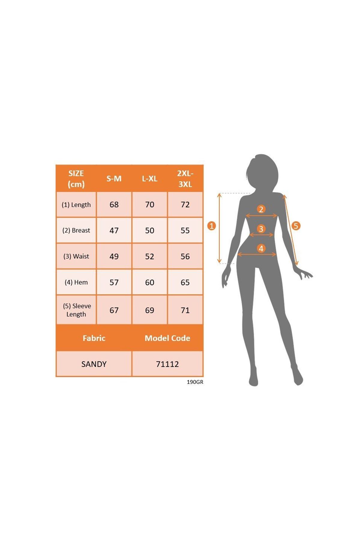 Kadın Uzun Kollu Göğüs Pencere Detay Yaka Boğazlı Kolları Tüllü Sandy Bluz