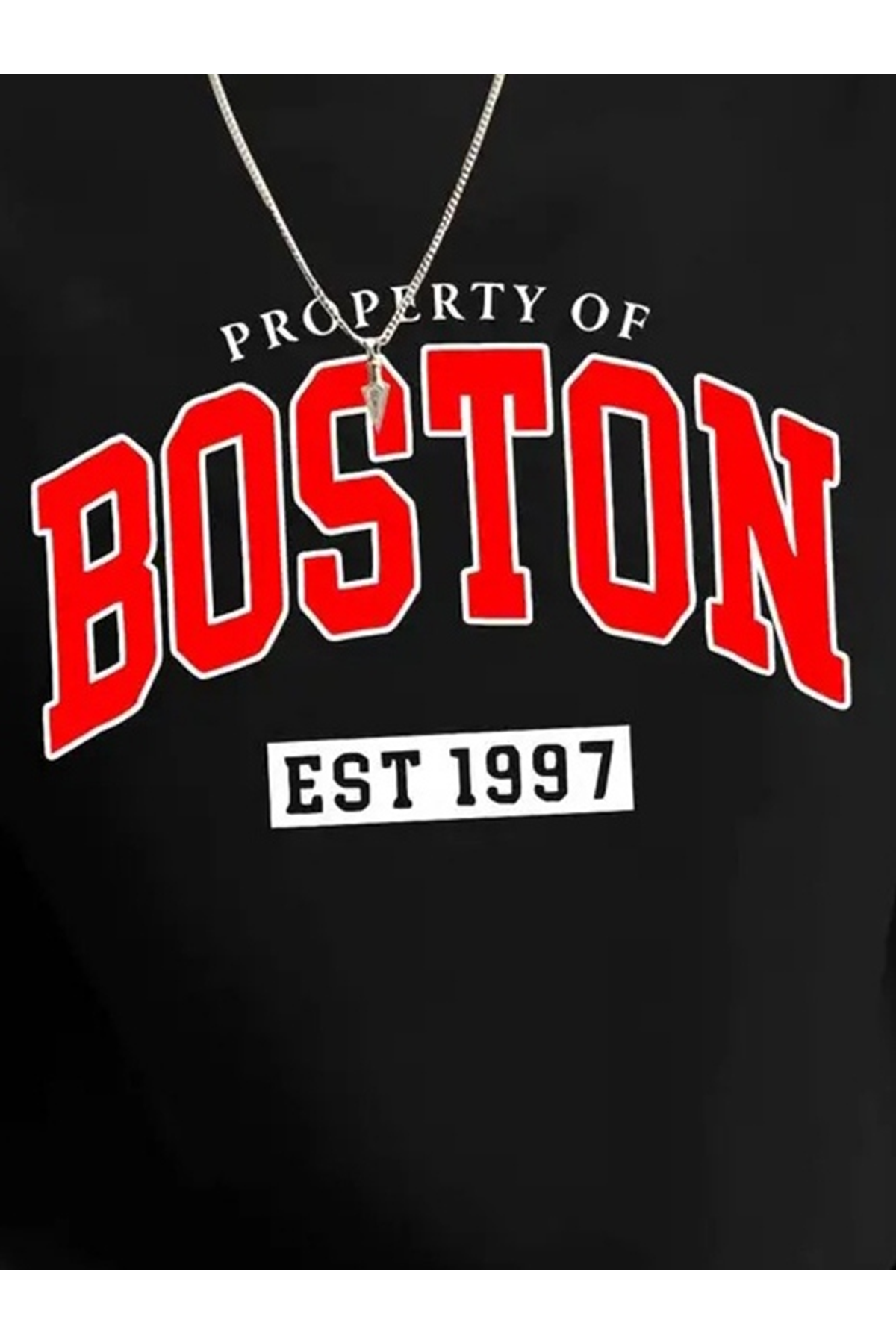 Erkek Uzun Kollu Bisiklet Yaka Boston Yazılı Iki Iplik Sweat