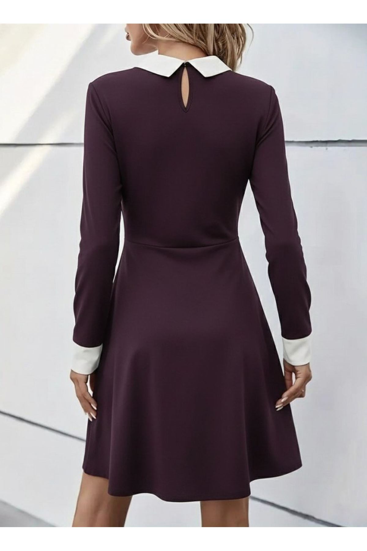 Kadın Uzun Kollu Yakalı Düğmeli Mürdüm Modal Mini Elbise