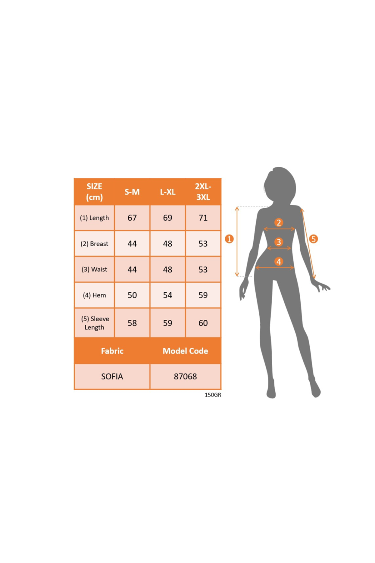 Kadın Uzun Kollu Hakim Yaka Bluz