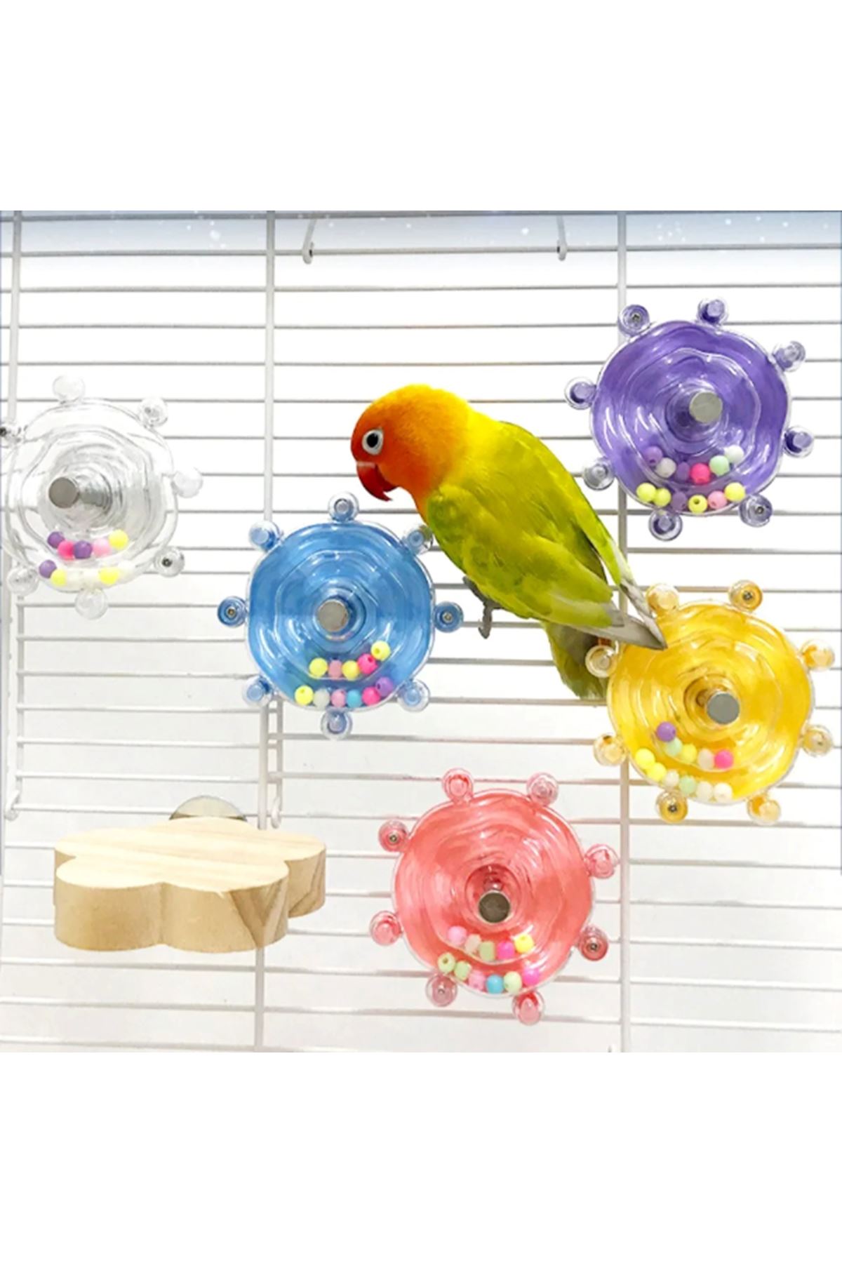 Çıngıraklı Kuş Kafesi İçin Çark Oyuncağı