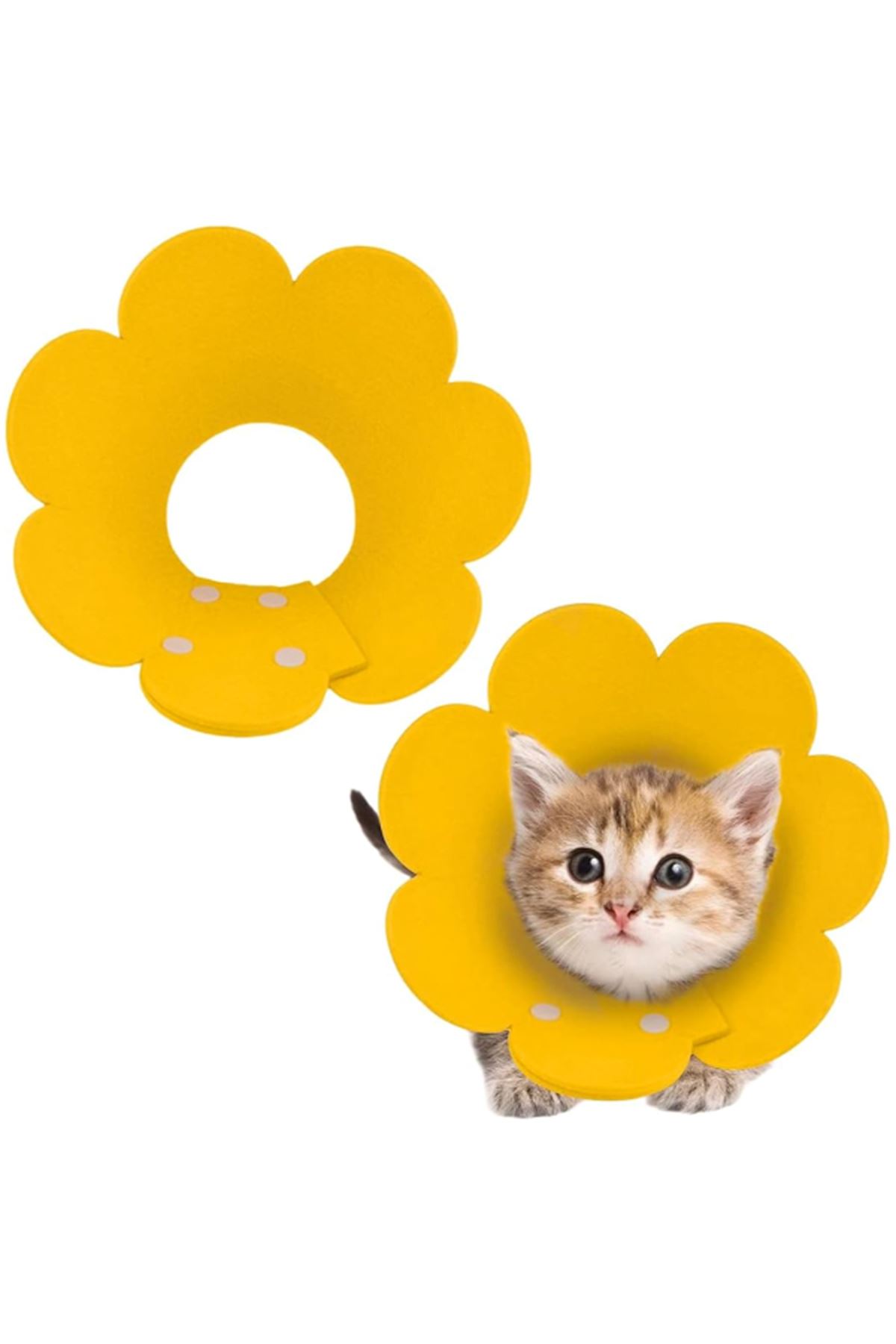 Evcil Hayvan S Boy Keçe Elizabeth Yakalığı