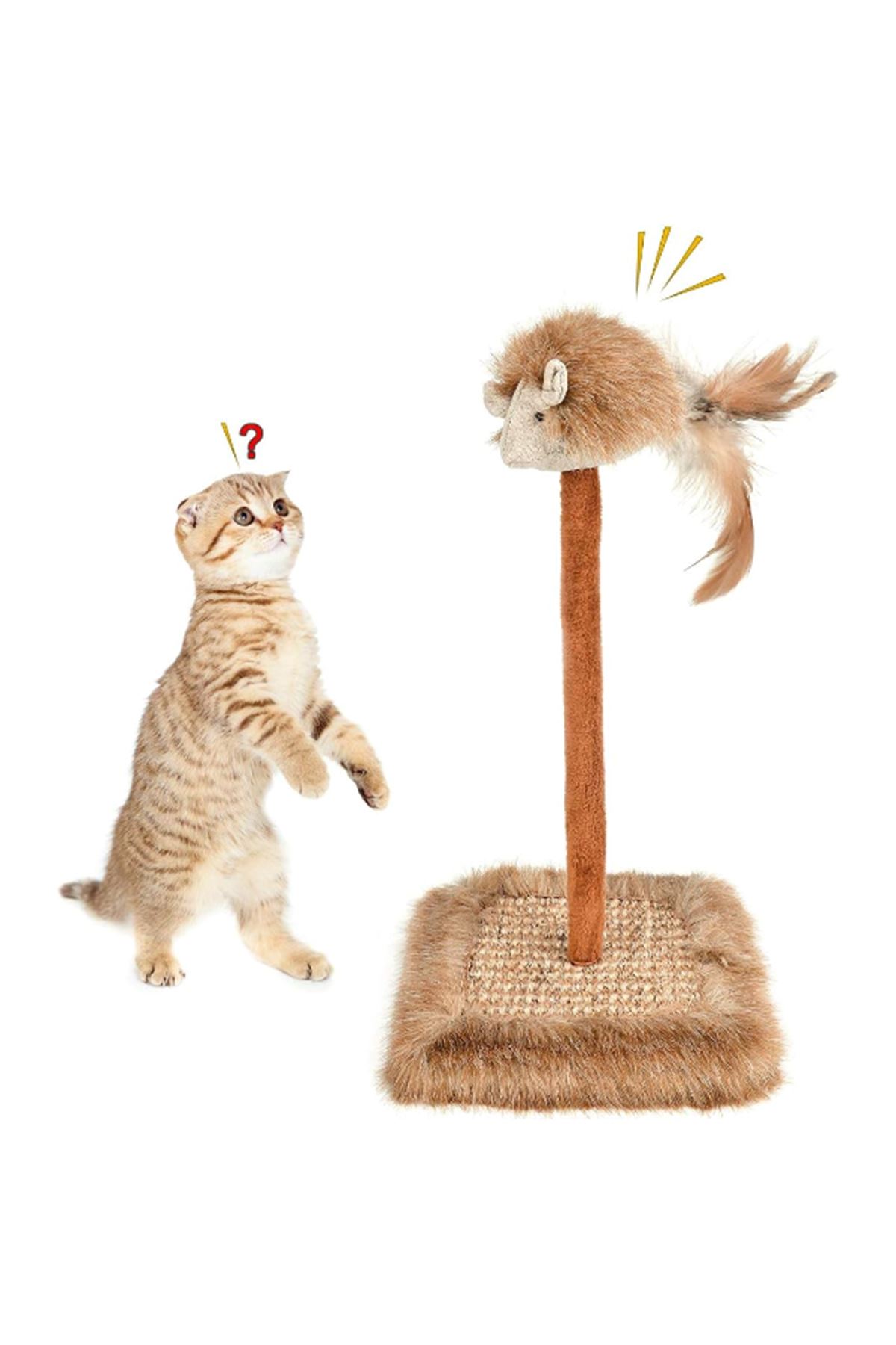 Sesli Oyuncaklı Kedi Tırmalama Tahtası