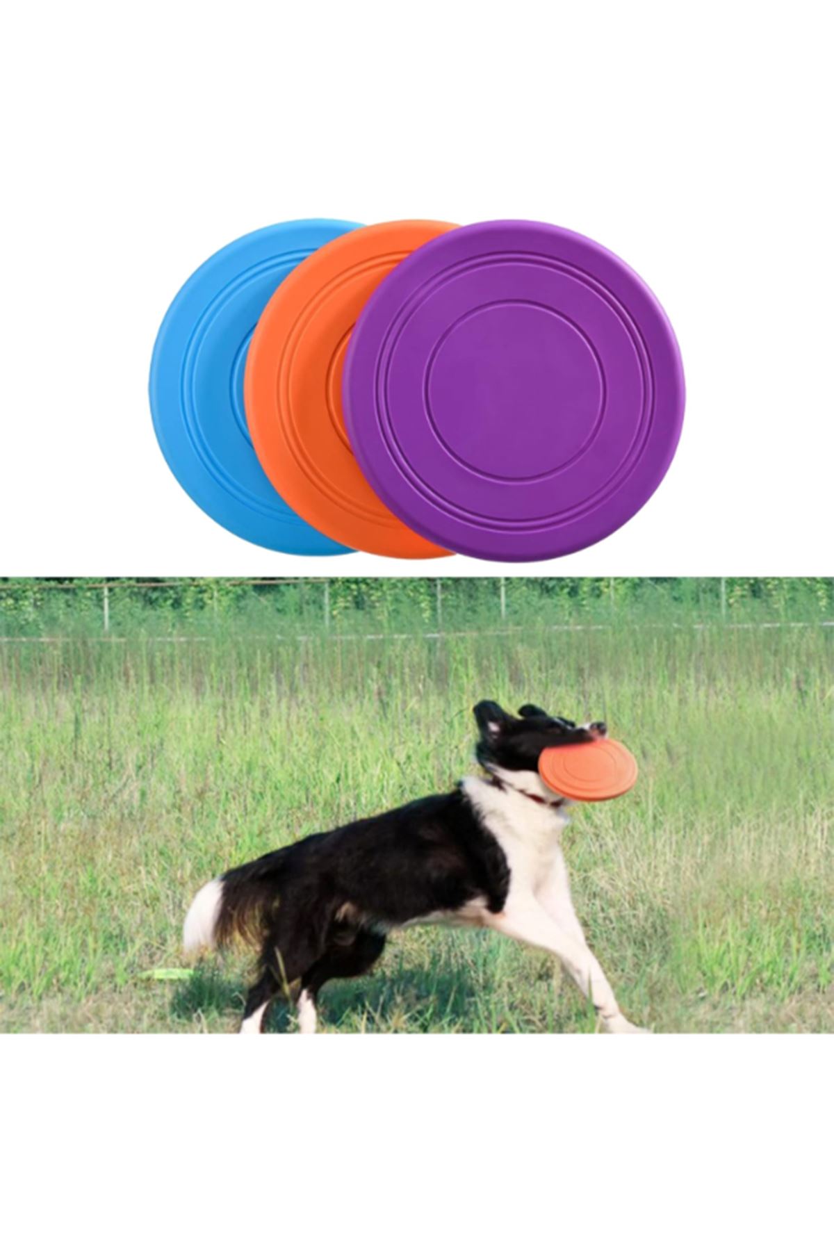 Silikon Frizbi Köpek Oyuncağı