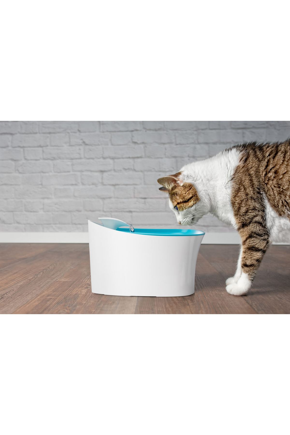 Otomatik Uyarılı Kedi Köpek Su Kabı