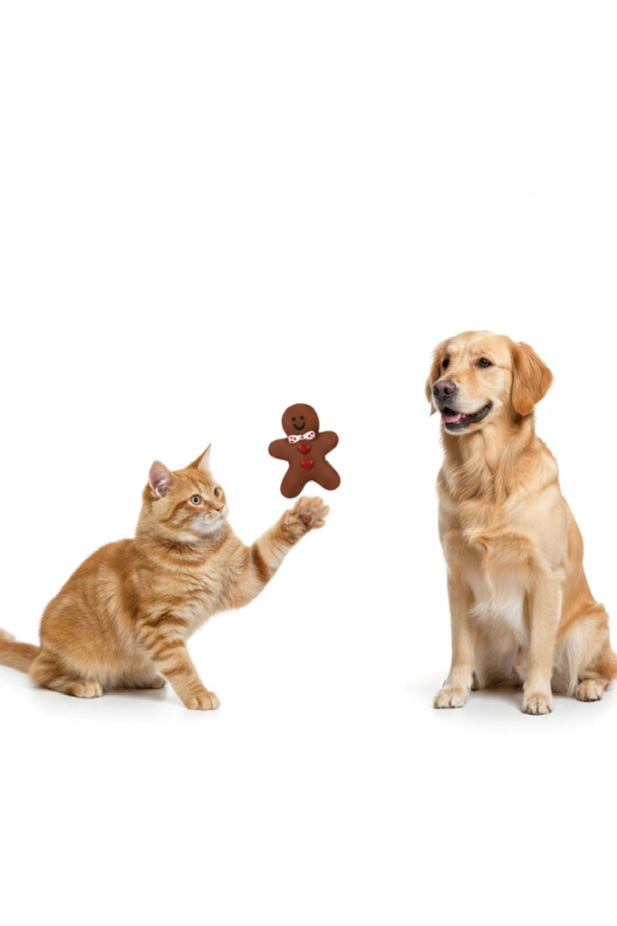 Sesli Bisküvi Adam Isırma Oyuncağı