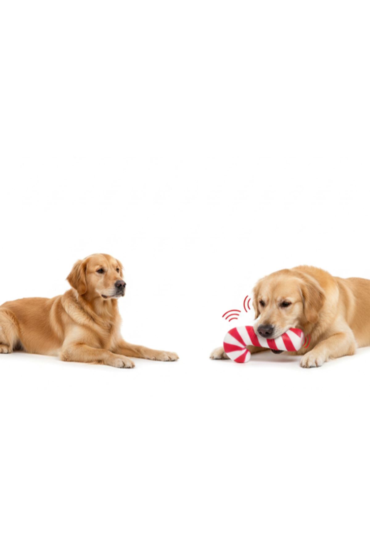 Sesli Baston Şeker Oyuncak