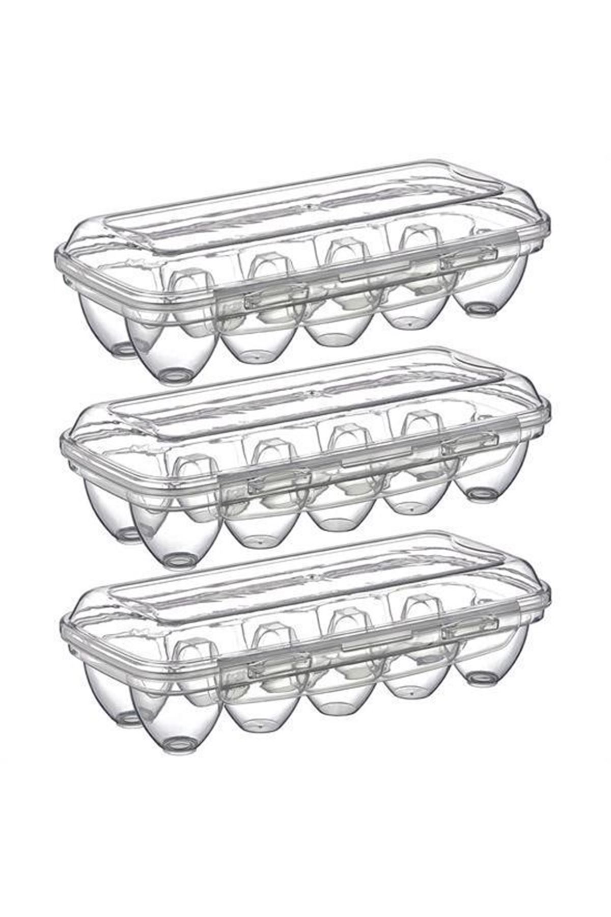 Tbl Dekor® 10 Bölmeli Kilitli Kapaklı Yumurtalık Saklama Kutusu YU110