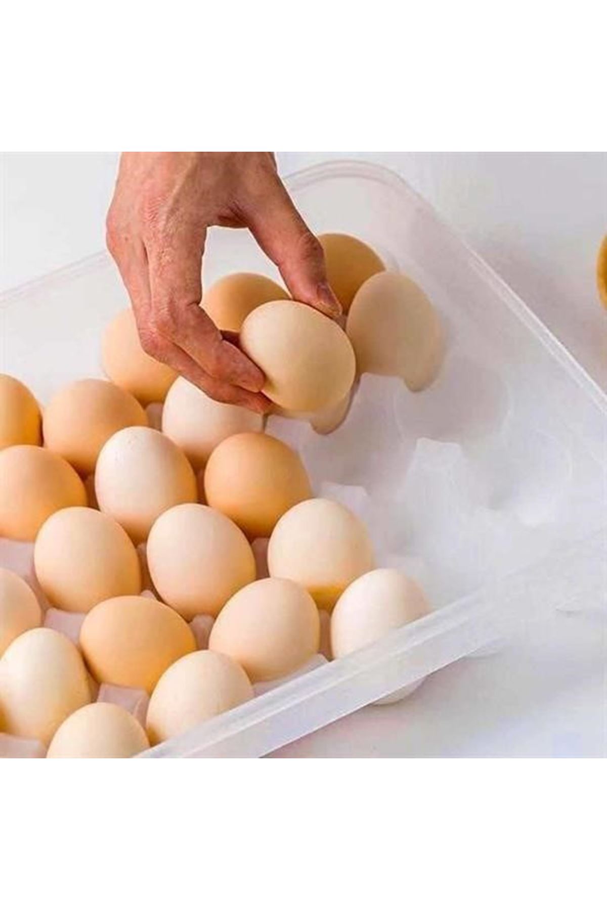 Tbl Dekor® 30lu Yumurta Saklama Kabı