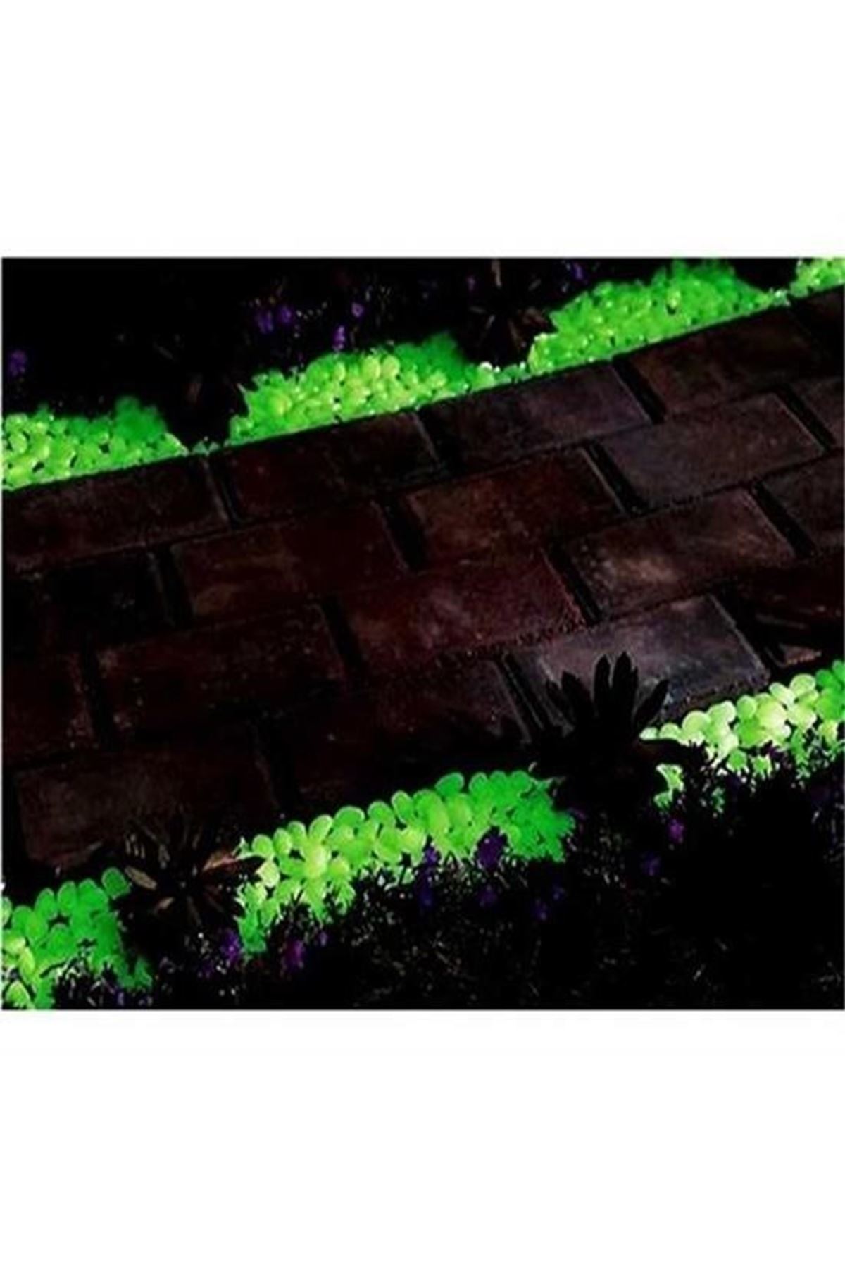 Tbl Dekor® Gece Karanlıkta Işık Vererek Parlayan Dekoratif Çakıl Taşları