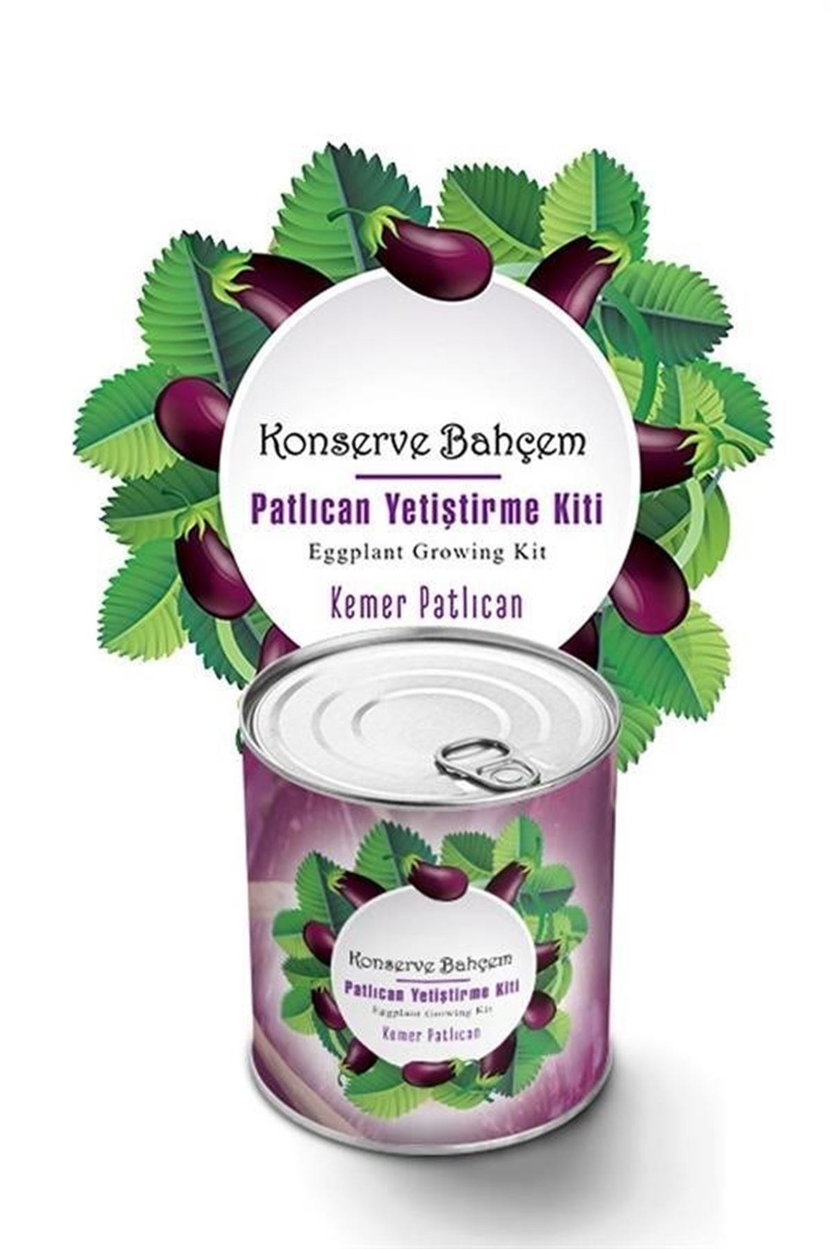 Tbl Dekor® Konserve Bahçem Evde Konservede  Kemer PatlıcanYetiştirme Kiti