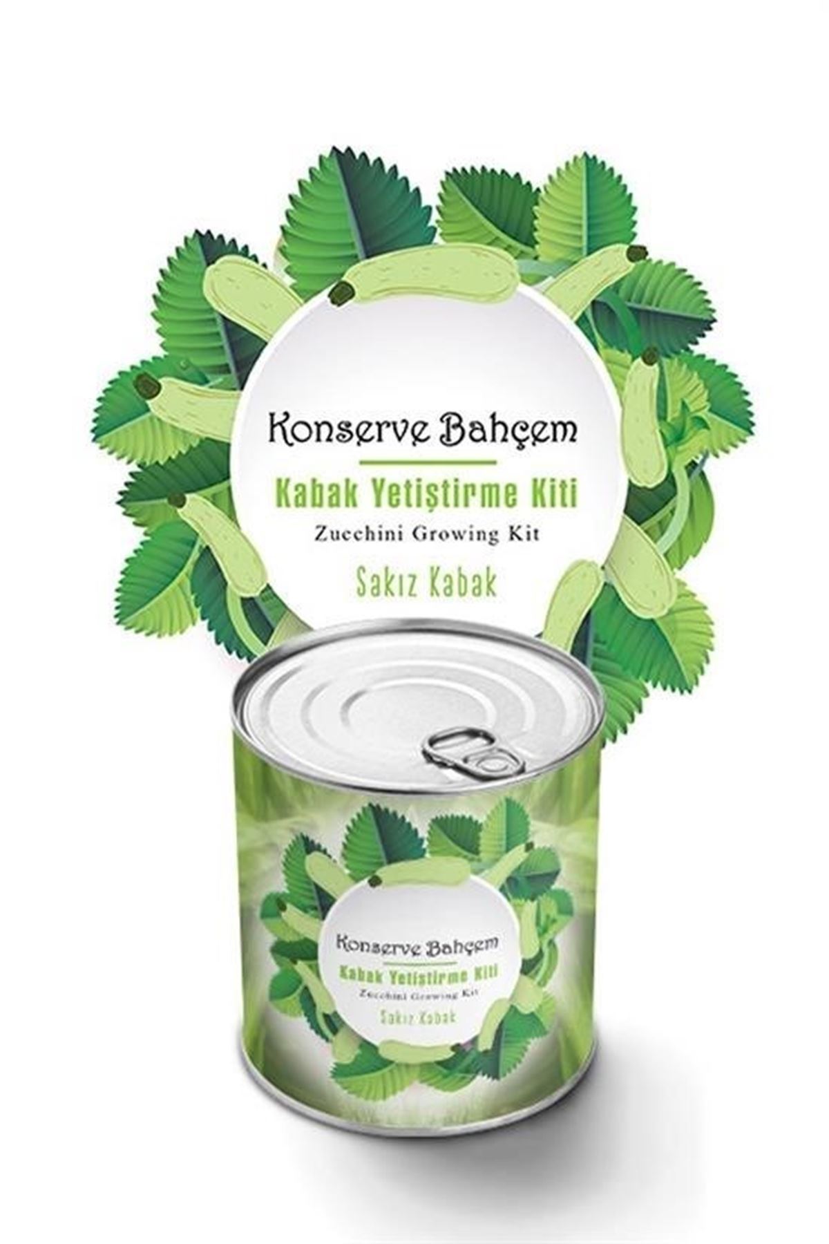 Tbl Dekor® Konserve Bahçem Evde Konservede Sakız Kabak Yetiştirme Kiti