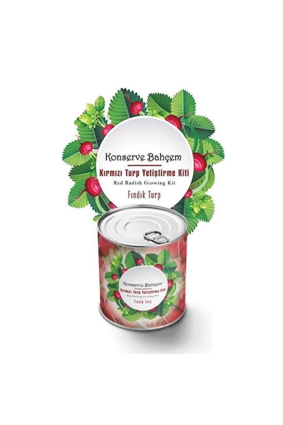 Tbl Dekor® Konserve Bahçem Evde Konservede Fındık Turp Yetiştirme Kiti