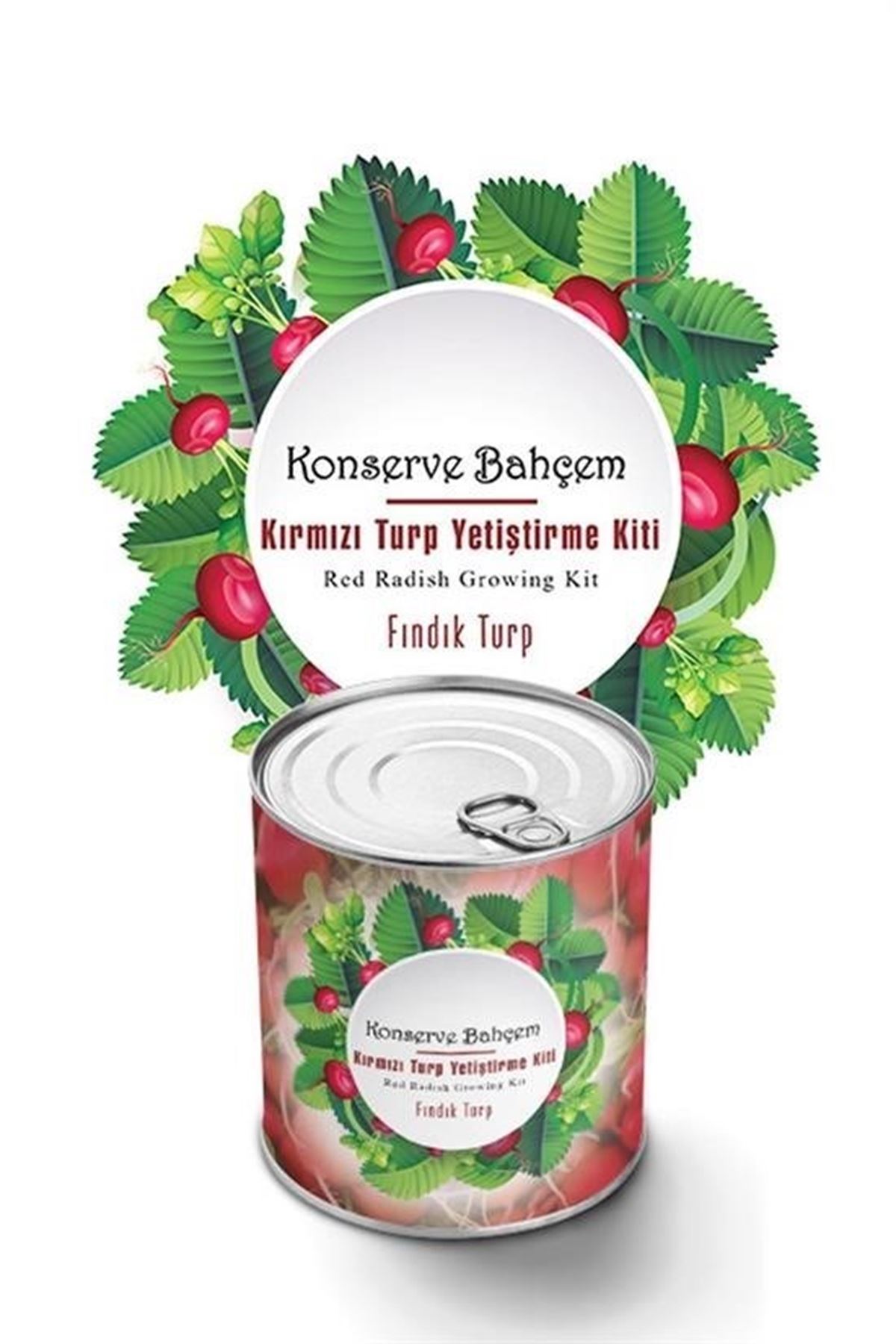 Tbl Dekor® Konserve Bahçem Evde Konservede Fındık Turp Yetiştirme Kiti