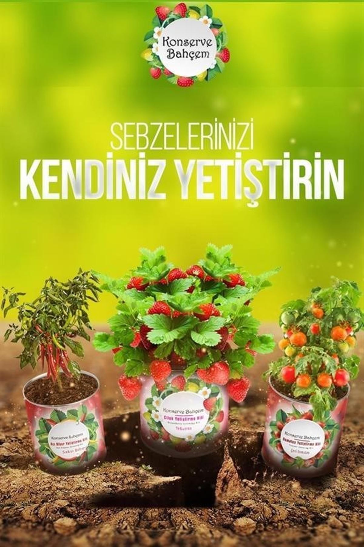 Tbl Dekor® Konserve Bahçem Evde Konservede İri Yapraklı Roka Yetiştirme Kiti