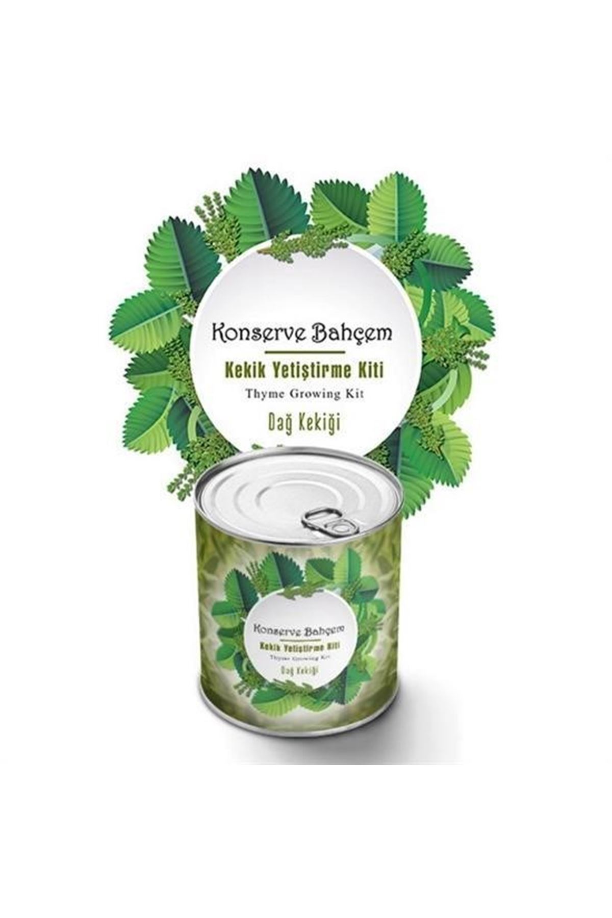 Tbl Dekor® Konserve Bahçem Evde Konservede Kekik Dağ Kekiği Yetiştirme Kiti