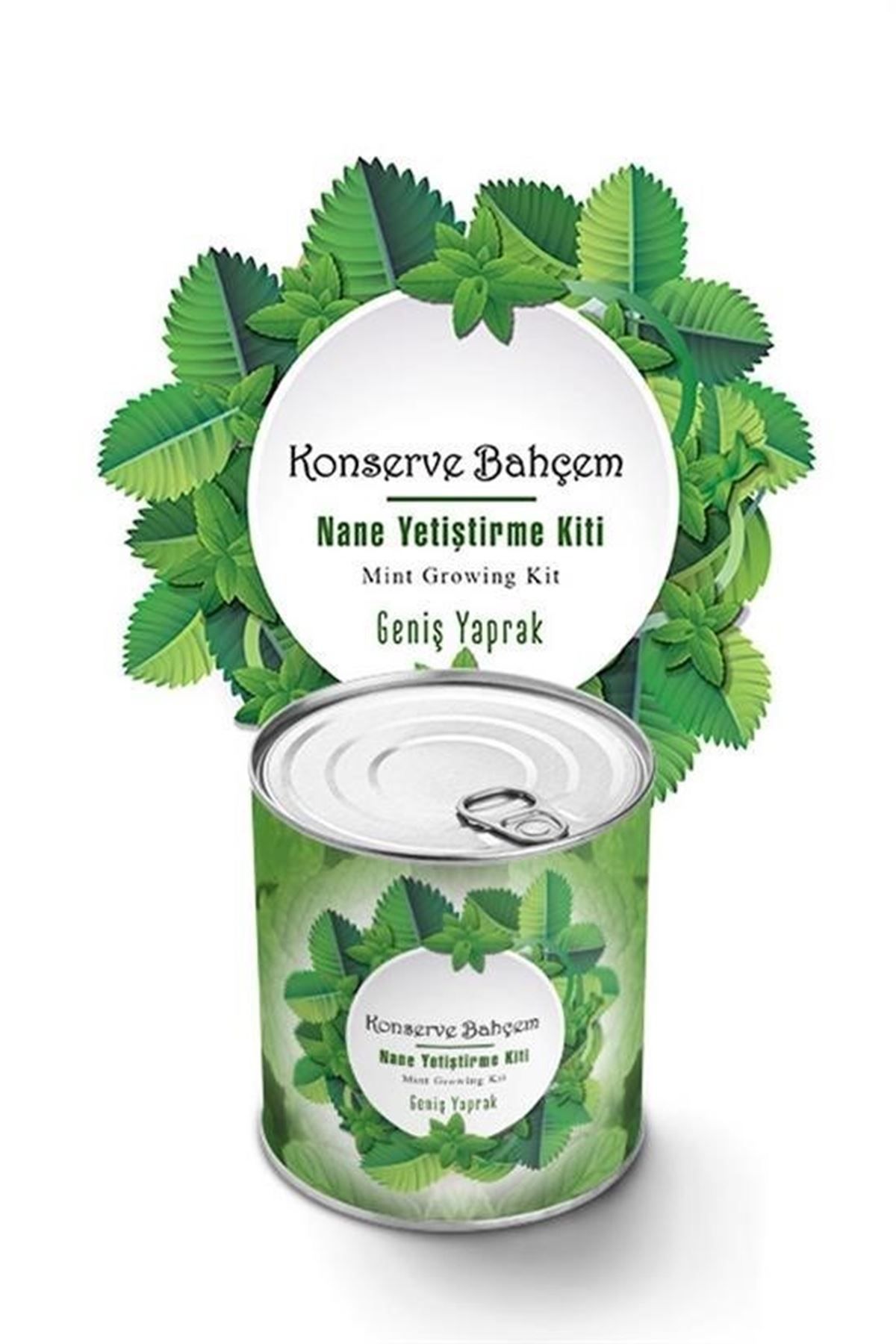 Tbl Dekor® Konserve Bahçem Nane Yetiştirme Kiti