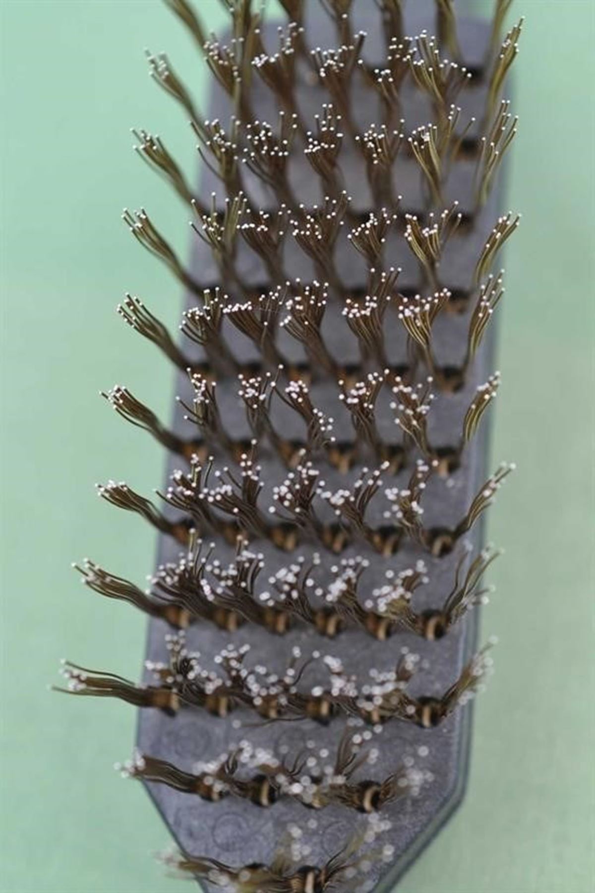 Tbl Dekor® Metal Tel Fırça Plastik Saplı Pas Kir Sökme Temizleme Fırçası