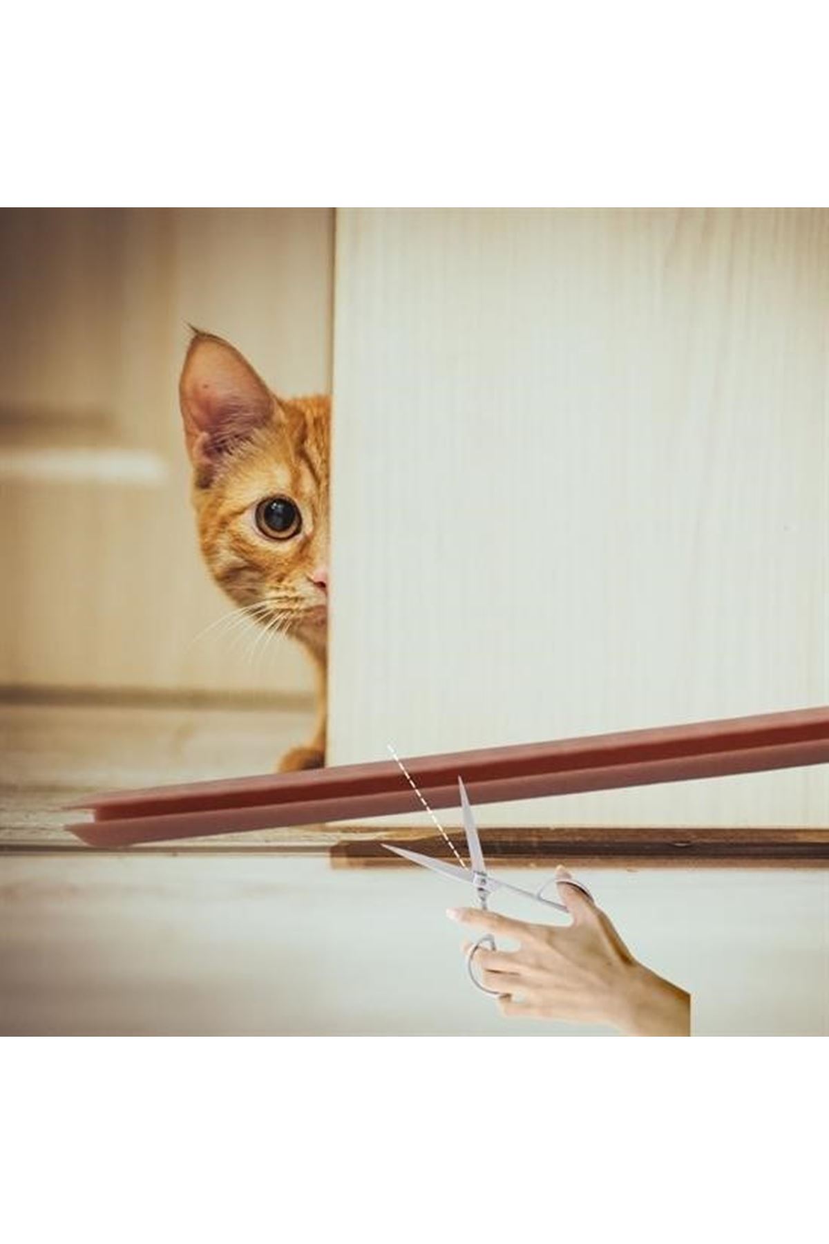 Tbl Dekor®  4 Adet Kapı Toz Rüzgar Önleyici Isı Yalıtımı Sağlayan Sızdırmaz Strafor