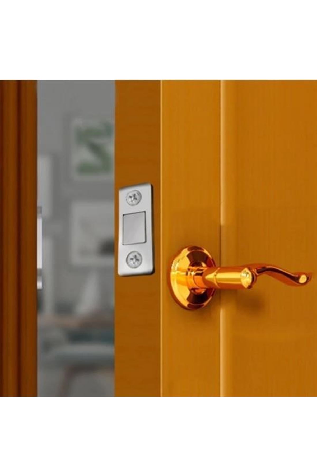 Tbl Dekor® 2 Çift Çok Amaçlı Kapı Kapak Dolap Çekmece Mobilya Durdurucu Kapatıcı Mıknatıslar