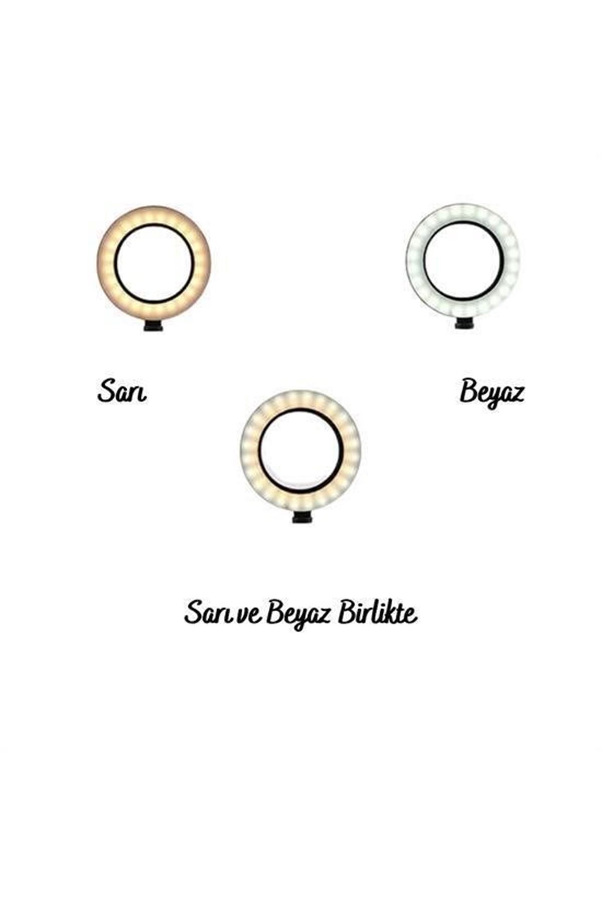 Tbl Dekor® 8inç 20cm Youtube Instagram Tiktok Selfie  Stüdyo Video Fotoğraf Ring Light  Tripod Led Halk