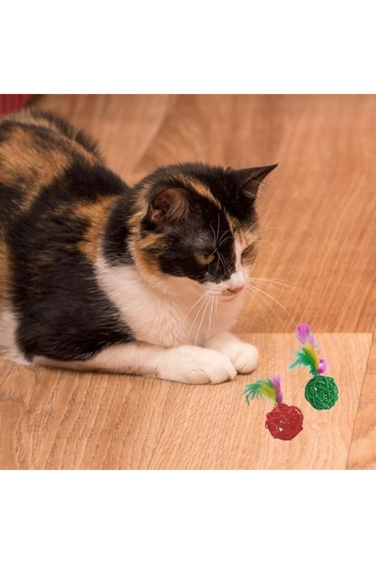 Tbl Dekor® 2li Rattan Renkli Peluş Tüy Kedi Köpek Oyuncak Yakalama Çiğneme Çıngıraklı Top Oyuncağı