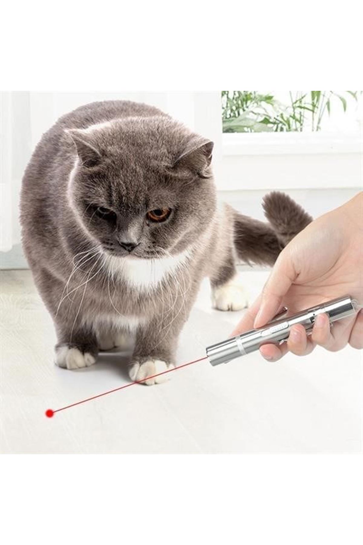 Tbl Dekor® Usb İle Şarj Edilebilen 3In 1 Kırmızı Işık +Beyaz Led Meşale Işık + Uv El Feneri Kedi Lazeri