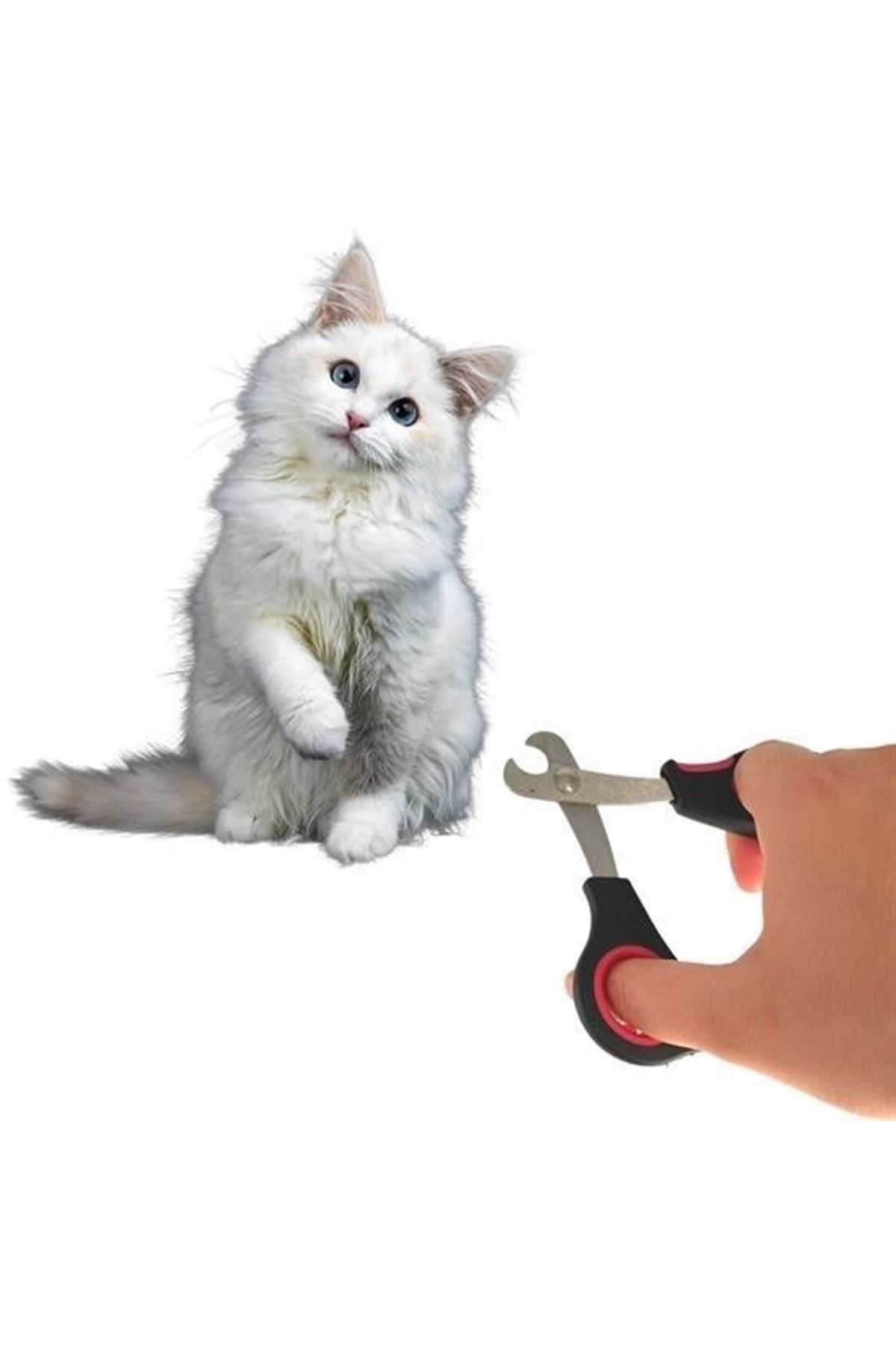 Tbl DekorBüyük Irk Köpek Kedi Çelik Uçlu Evcil Hayvan Tırnak Makası Pati Bakım Aleti Ergonomik Kaymaz