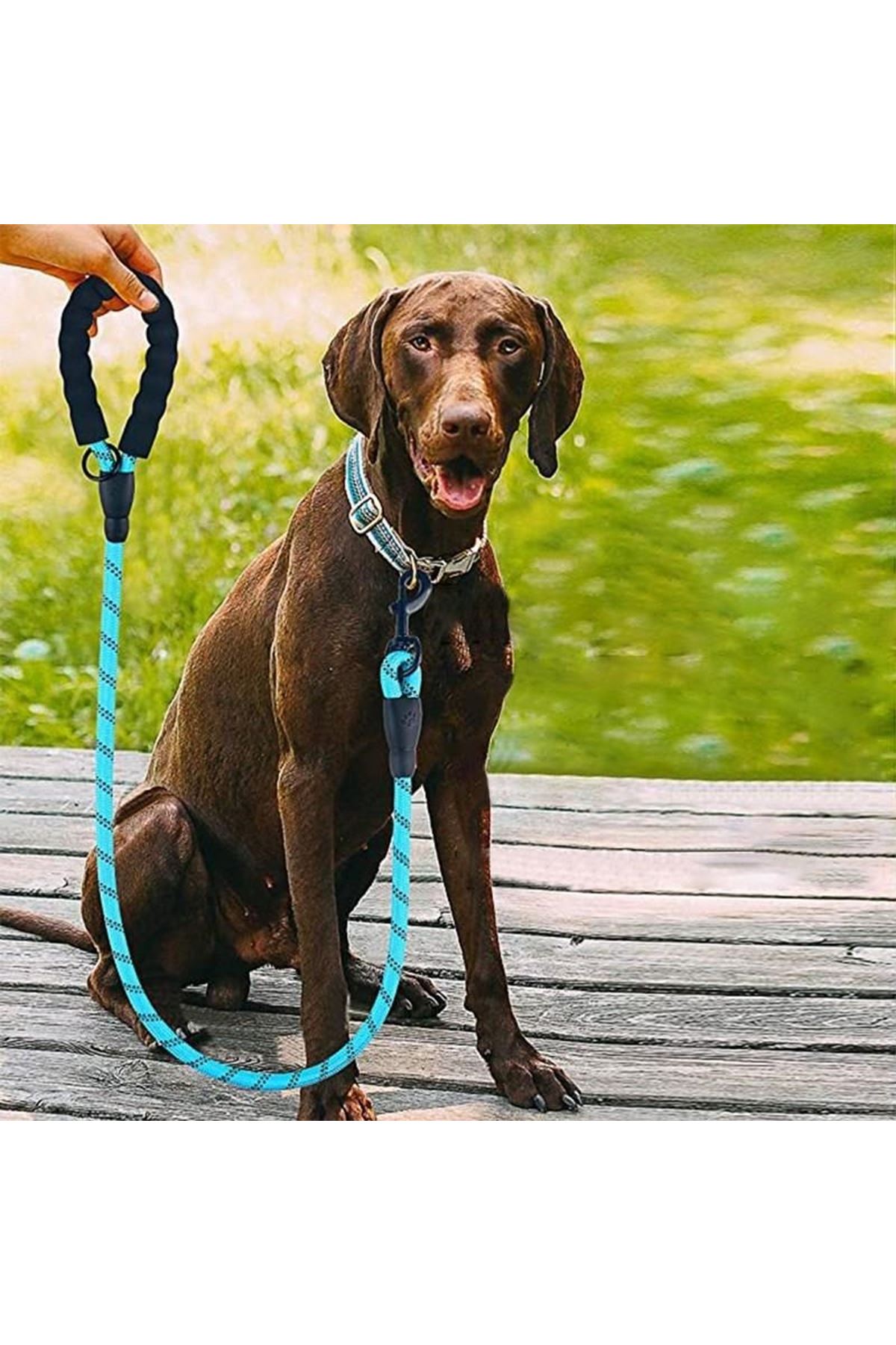 Tbl Dekor® Reflektörlü Fosforlu Köpek Gezdirme Halatı Tasma Kayışı Metal Kancalı 130 cm