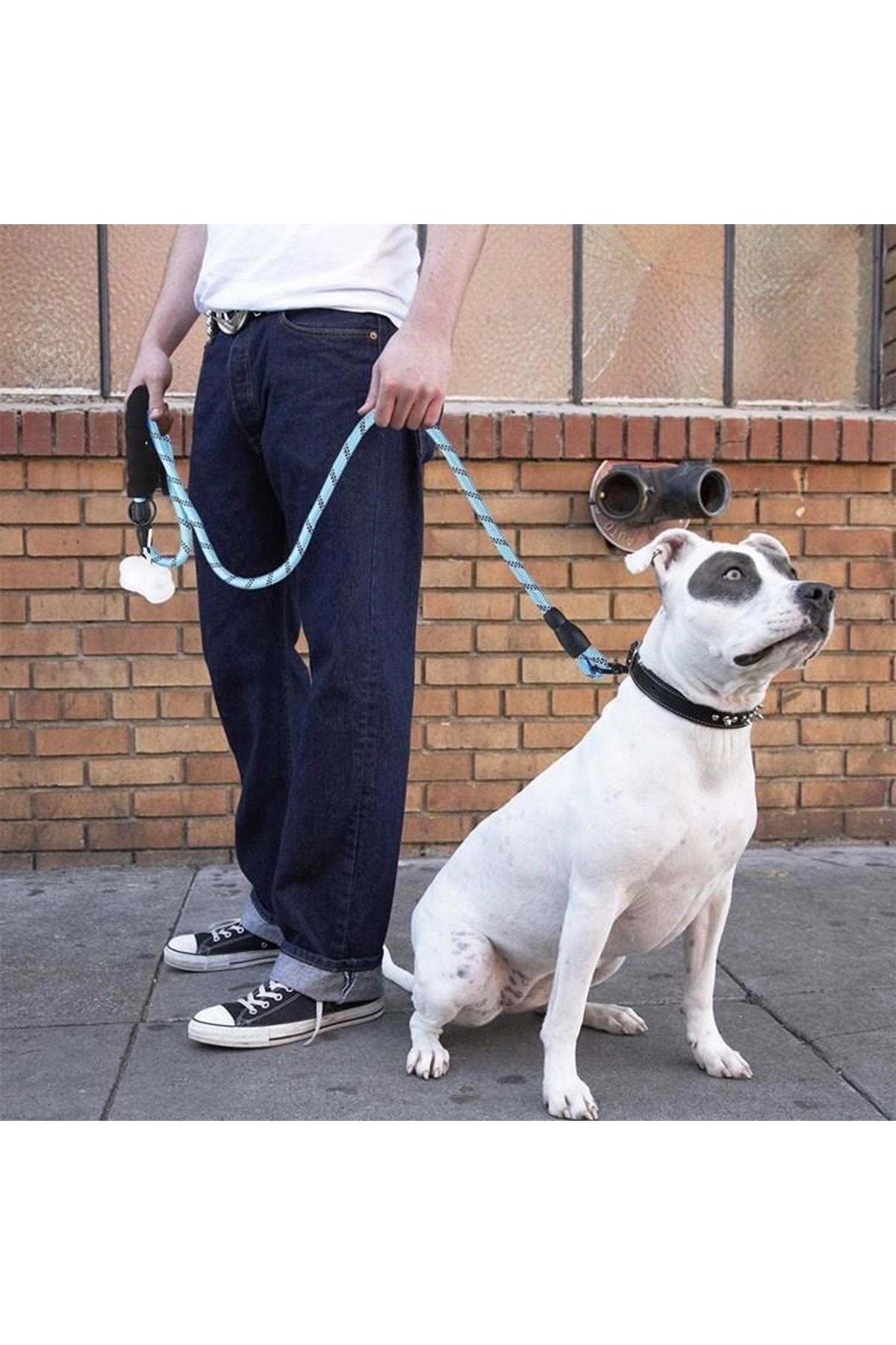 Tbl Dekor® Reflektörlü Fosforlu Köpek Gezdirme Halatı Tasma Kayışı Metal Kancalı 130 cm