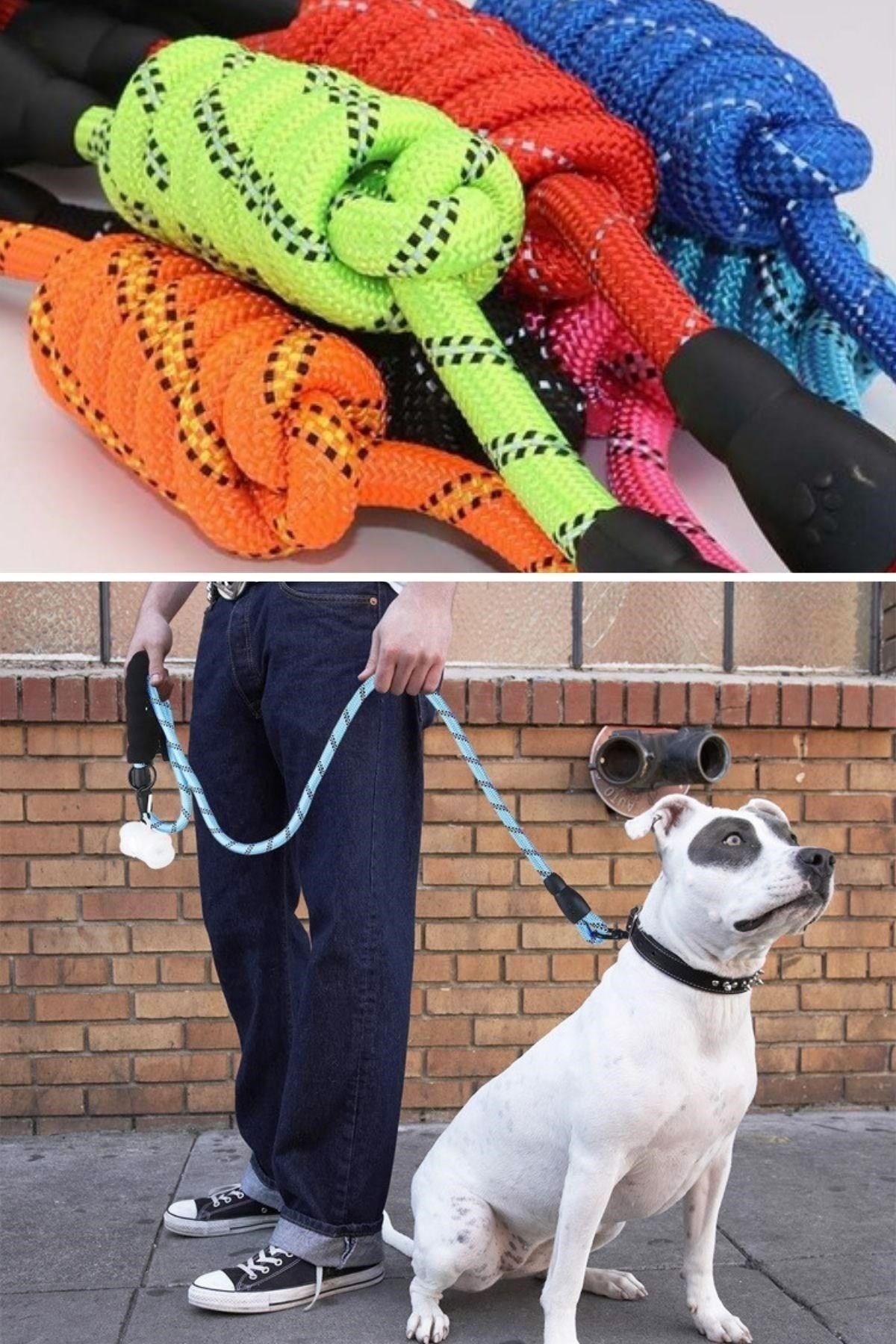 Tbl Dekor® Reflektörlü Fosforlu Köpek Gezdirme Halatı Tasma Kayışı Metal Kancalı 130 cm