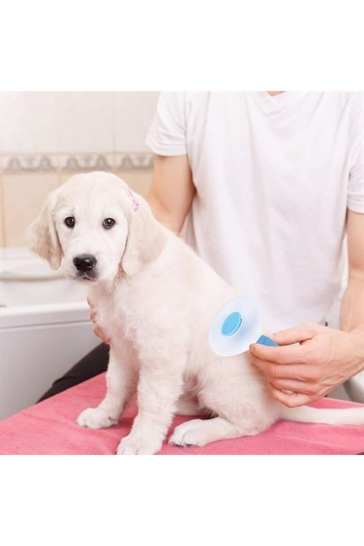 Tbl Dekor® Kedi Köpek Tüy Toplayıcı Kendini Temizleyebilen Ergonomik Saplı Evcil Hayvan Tarağı Mavi