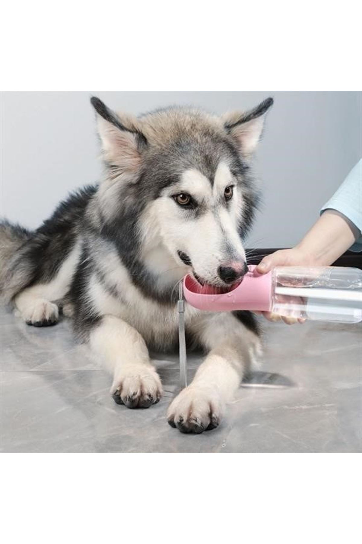 Tbl Dekor® Taşınabilir Evcil Hayvan Suluğu Seyahat Kabı Kilitlenebilen Su Sızdırmaz Kap 350 ml