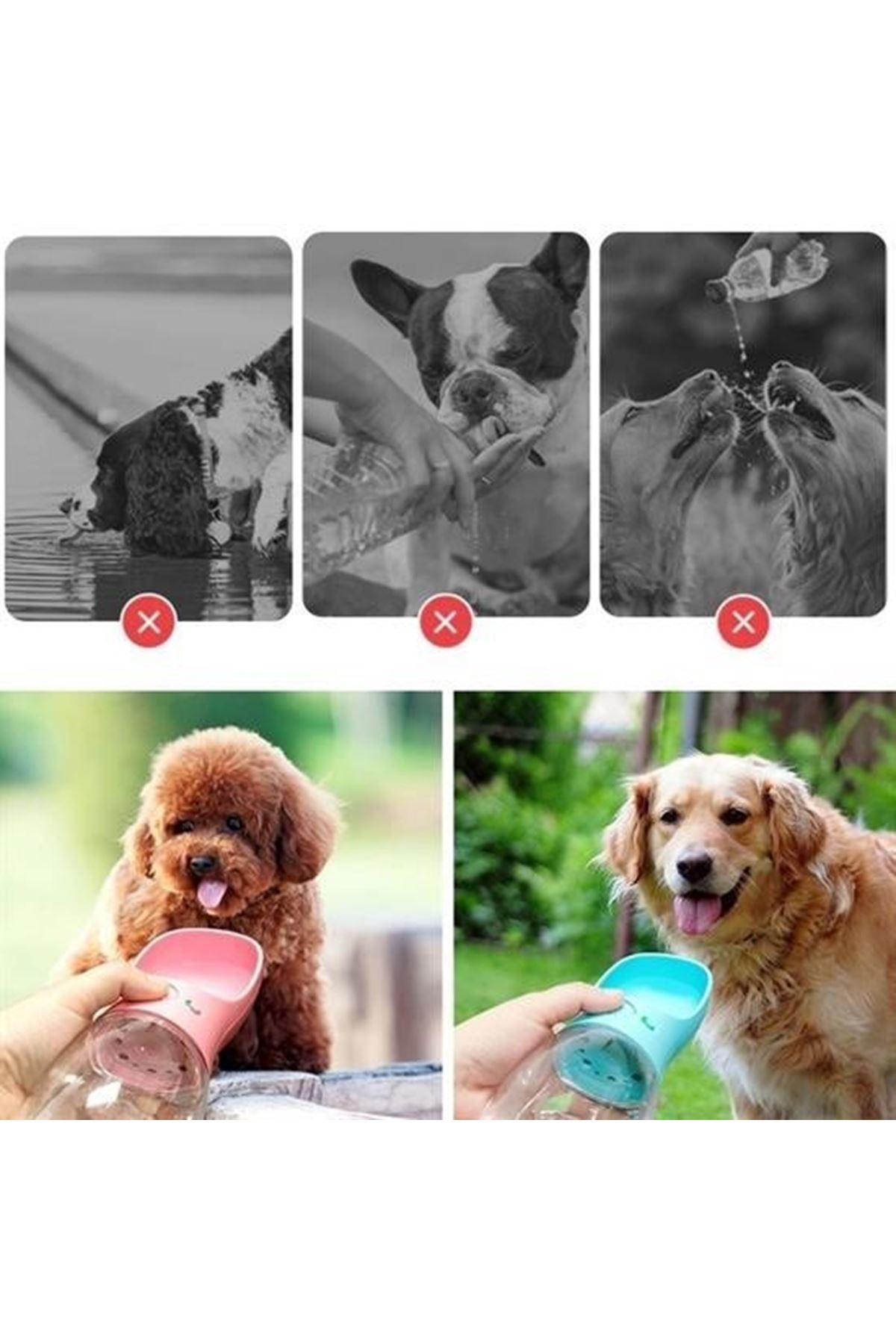 Tbl Dekor® Taşınabilir Evcil Hayvan Suluğu Seyahat Kabı Kilitlenebilen Su Sızdırmaz Kap 350 ml