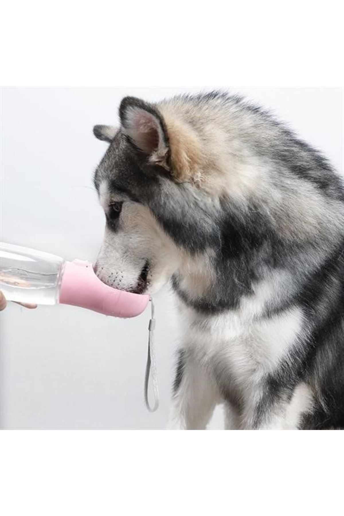 Tbl Dekor® Taşınabilir Evcil Hayvan Suluğu Seyahat Kabı Kilitlenebilen Su Sızdırmaz Kap 350 ml