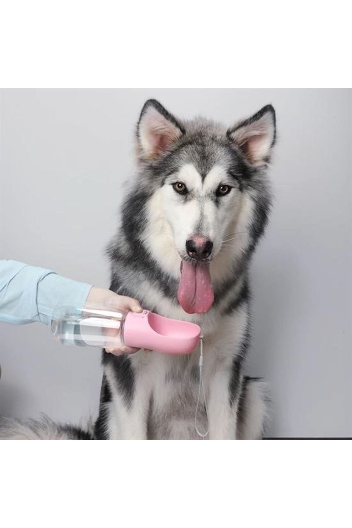 Tbl Dekor® Taşınabilir Evcil Hayvan Suluğu Seyahat Kabı Kilitlenebilen Su Sızdırmaz Kap 350 ml