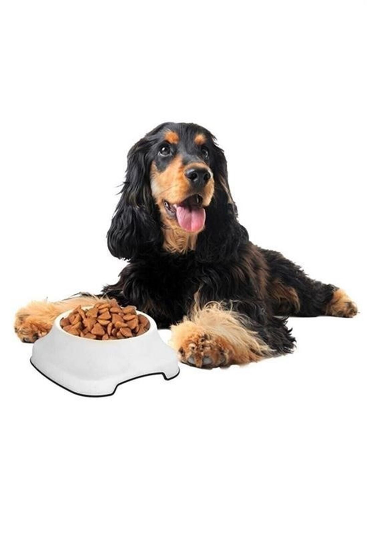 Tbl Dekor® Silikon Kaydırmaz Taban Plastik Kedi ve Köpek Mama ve Su Kabı 2 L