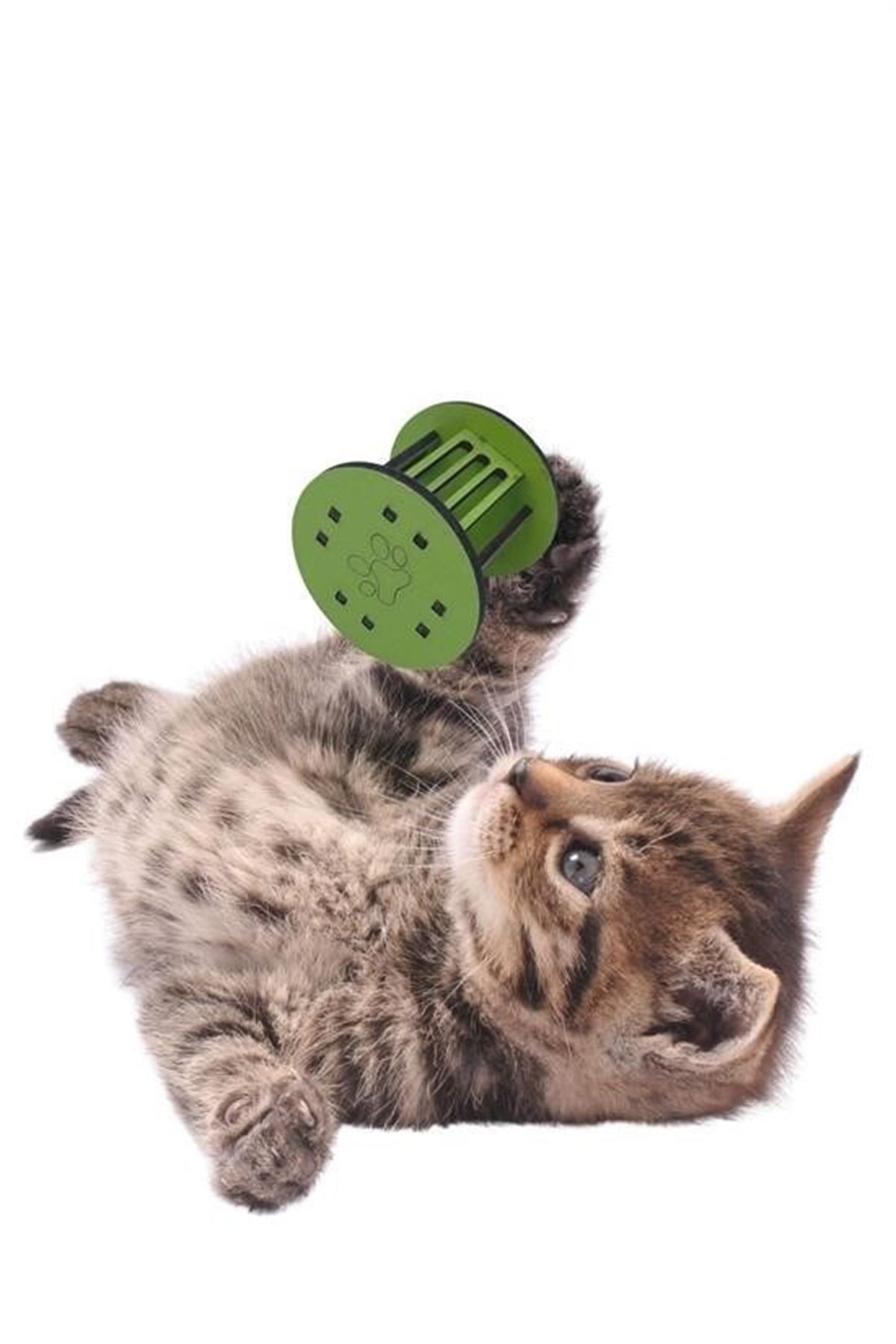 Tbl Dekor®  Mini Silindir Eğlenceli Renkli Sağlam Küçük Pati İzi Şekilli Kedi Oyuncağı