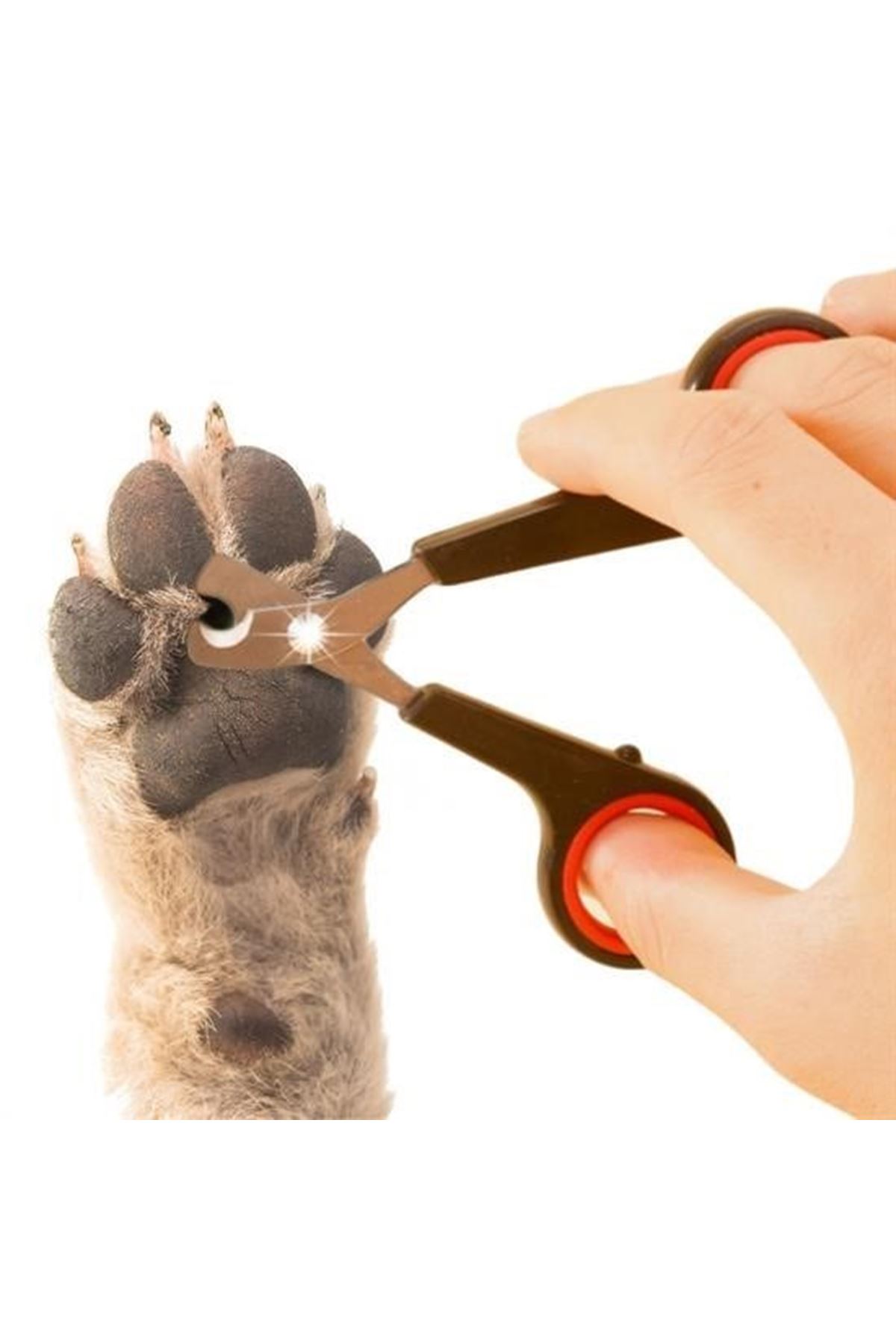 Tbl Dekor® Evcil Hayvan Tırnak Makası Ve Törpü Seti Manikür Pedikür Pati Bakım Aleti Kaymaz Sap