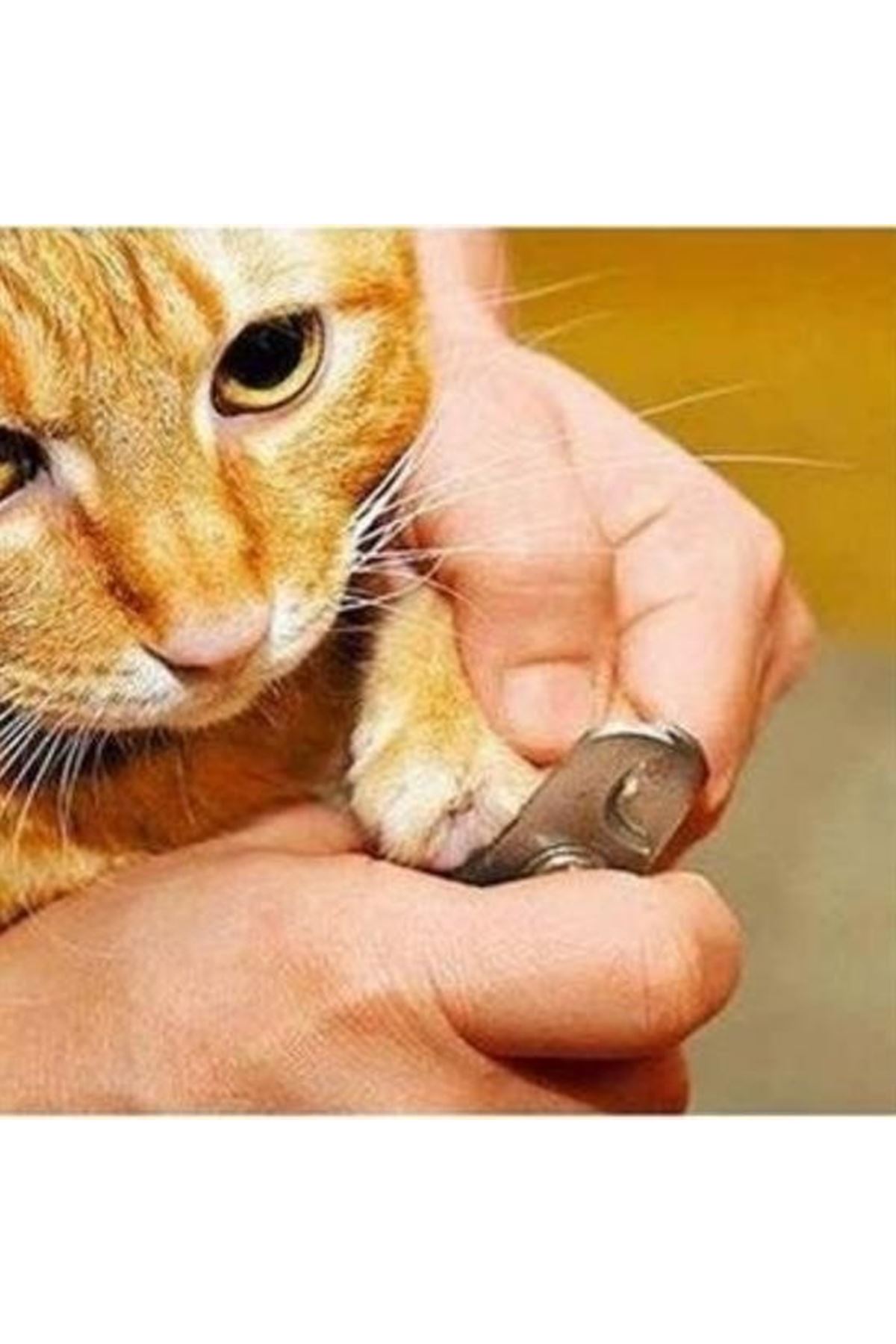 Tbl Dekor® Evcil Hayvan Tırnak Makası Ve Törpü Seti Manikür Pedikür Pati Bakım Aleti Kaymaz Sap