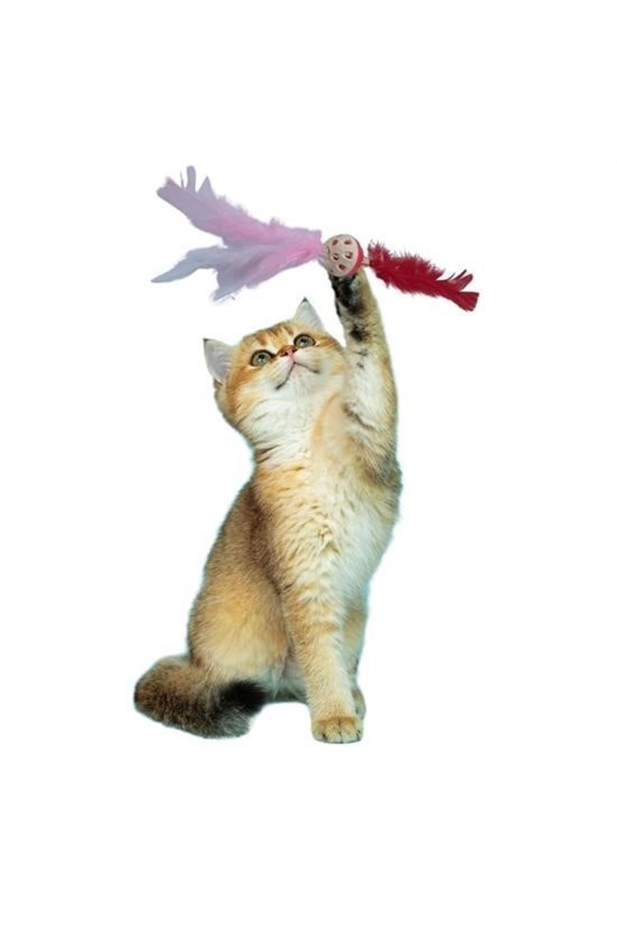 Tbl Dekor®Tüylü PüsküllüKedi OyuncağıDikkat Çekici Renkli Sevimli Evcil Hayvan Oyuncağı