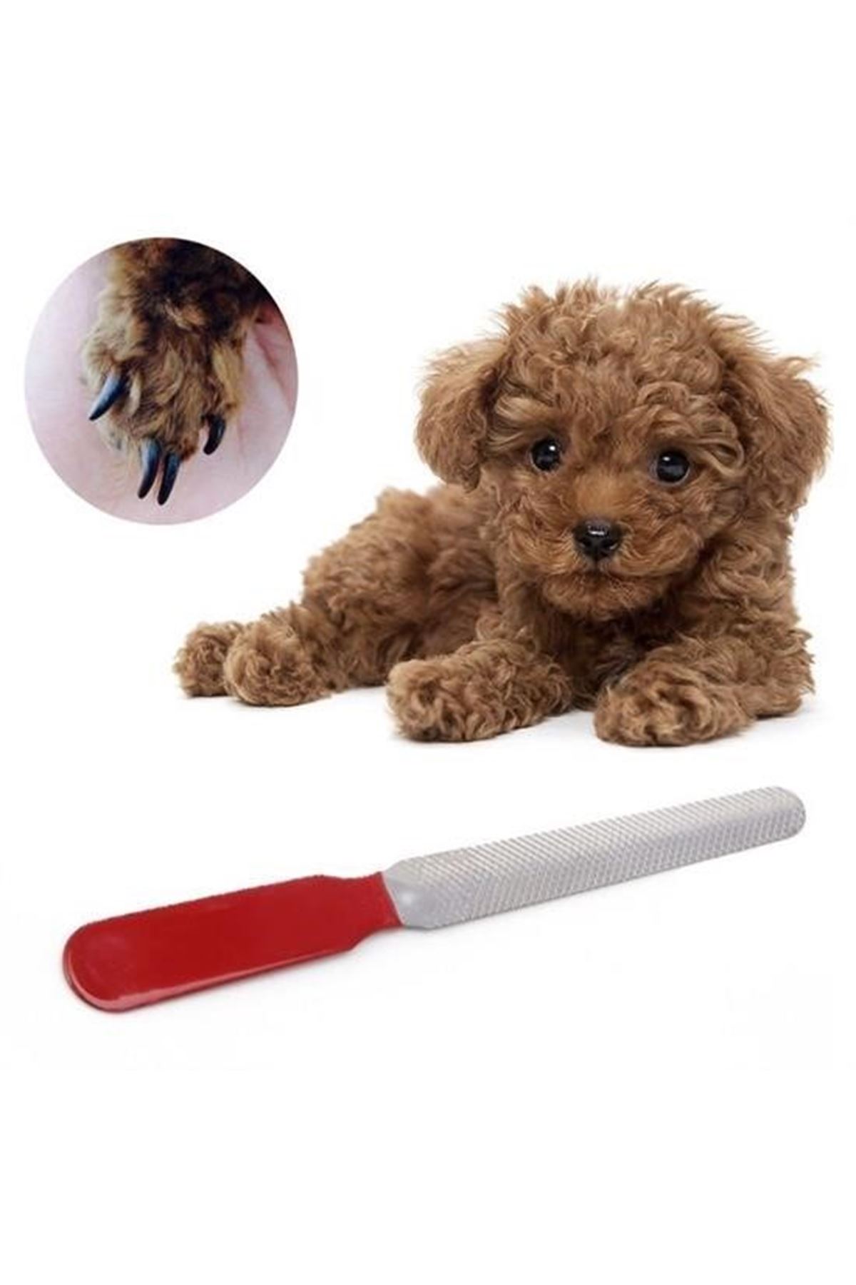 Tbl Dekor® Evcil Hayvan Tırnak Makası Ve Törpü Seti Manikür Pedikür Pati Bakım Aleti Kaymaz Sap