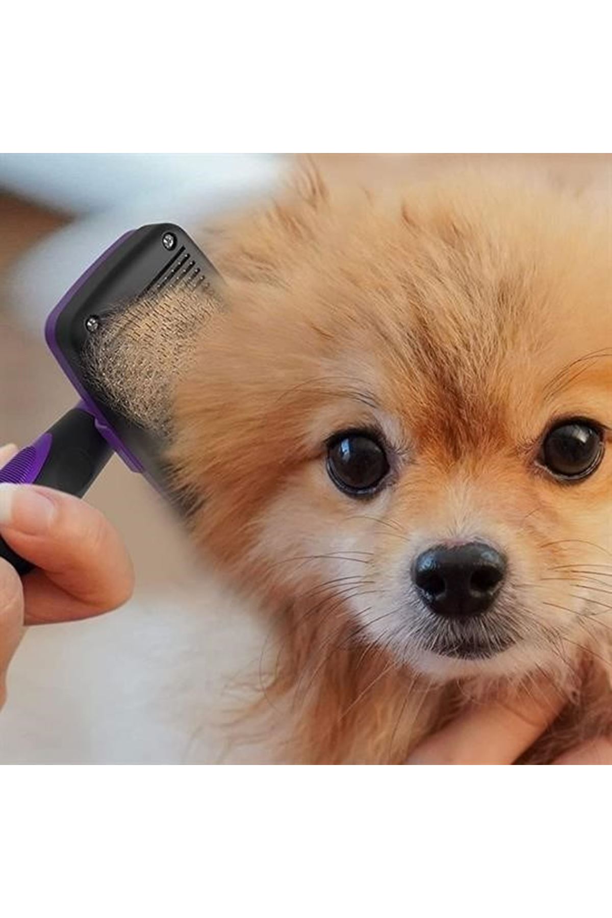 Tbl Dekor®  Otomatik Temizlenebilen Tuşlu Pratik Kedi Köpek Tüy Toplama Fırçası