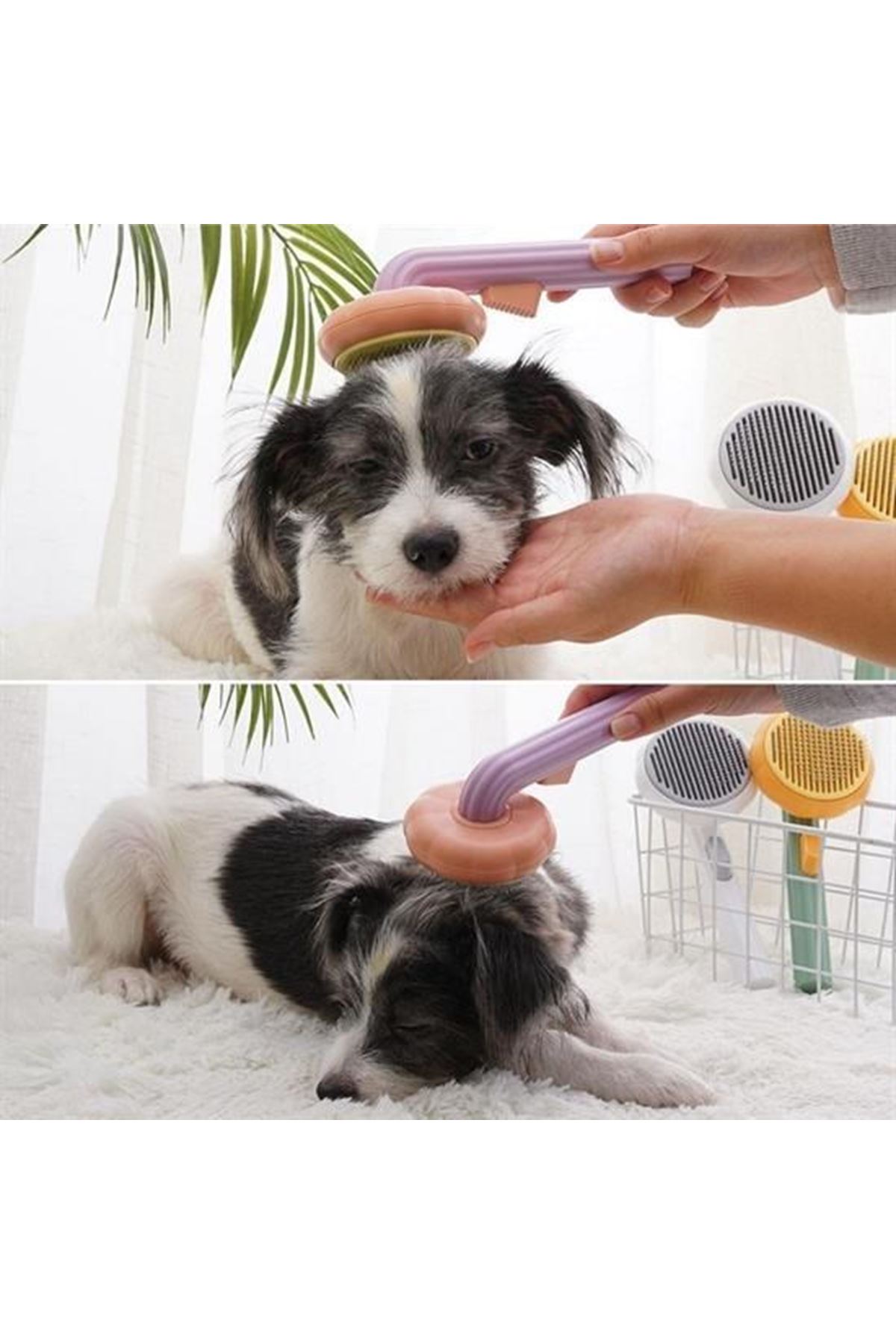 Tbl Dekor Plastik Yeşil Evcil Hayvan Bakım  Pet Fırçası Çok Amaçlı Pet Fırçası Yeşil