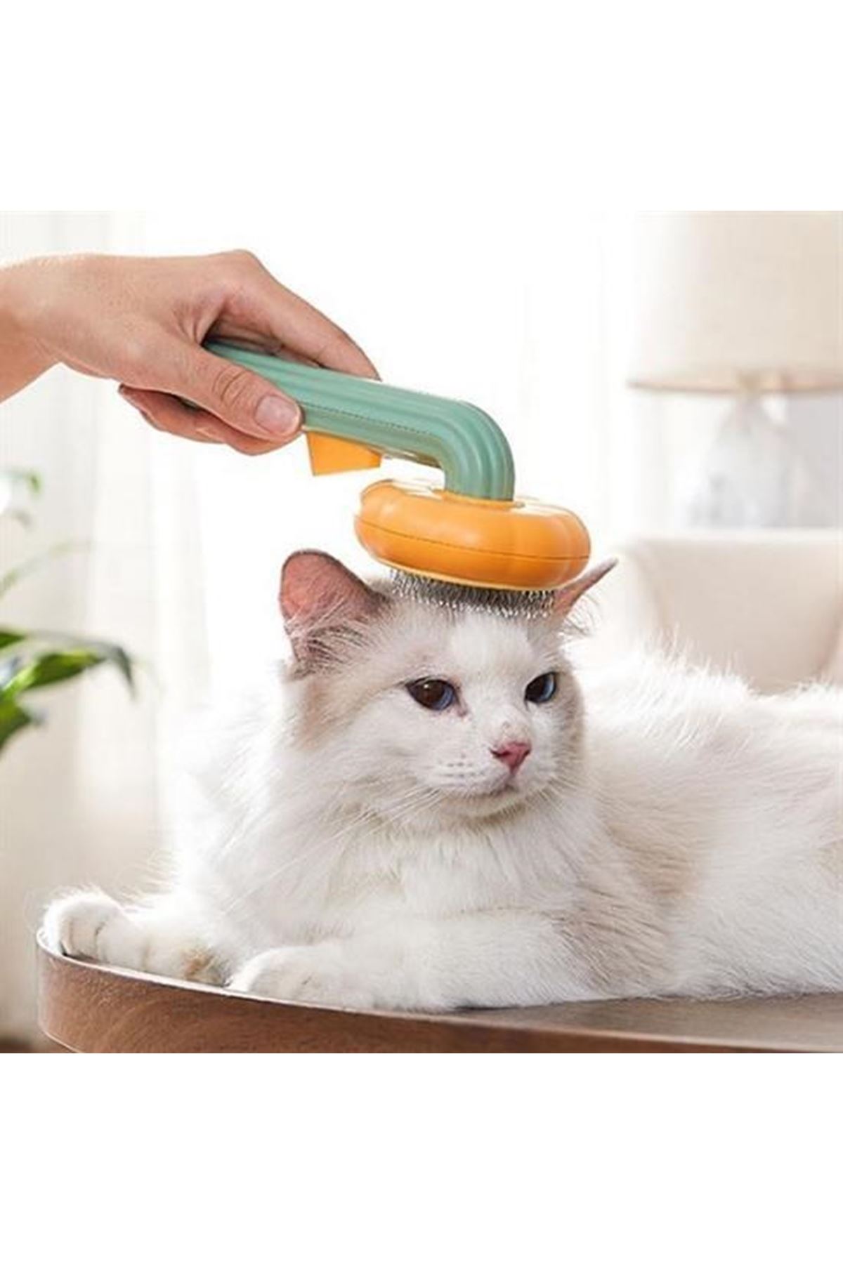 Tbl Dekor Plastik Yeşil Evcil Hayvan Bakım  Pet Fırçası Çok Amaçlı Pet Fırçası Yeşil