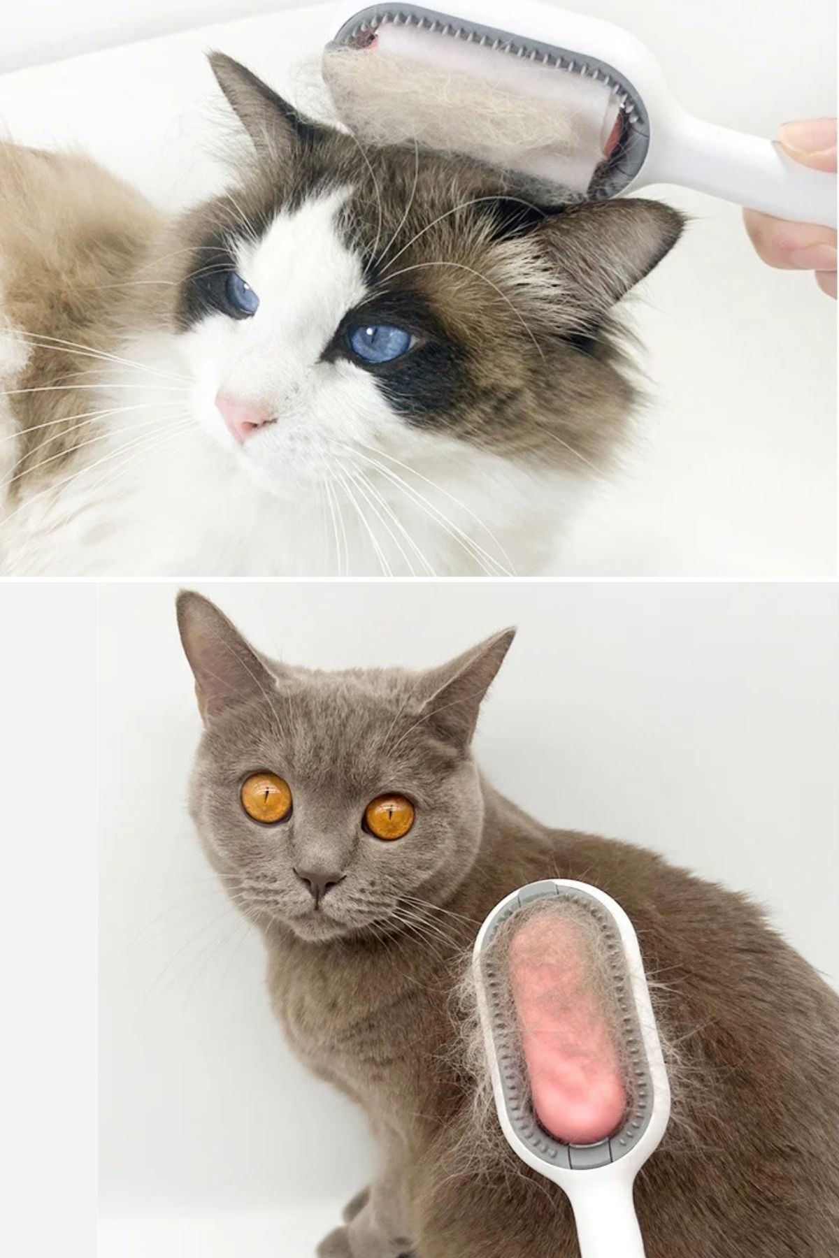 Tbl Dekor® Su Hazneli Kedi ve Köpek Tüyü Toplamama Fırçası Su Hazneli Pet Tarağı