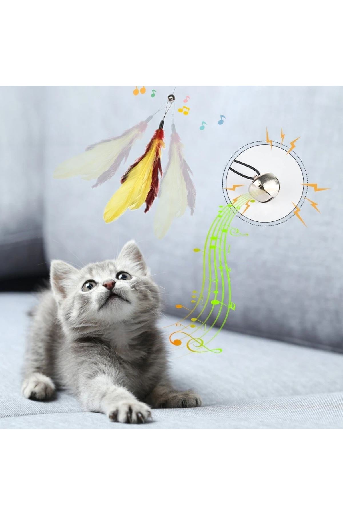 Tbl Dekor® Evcil Hayvanlar İçin Çift Taraflı Pet Fırçası Nemli Tüy Tarama Tarağı