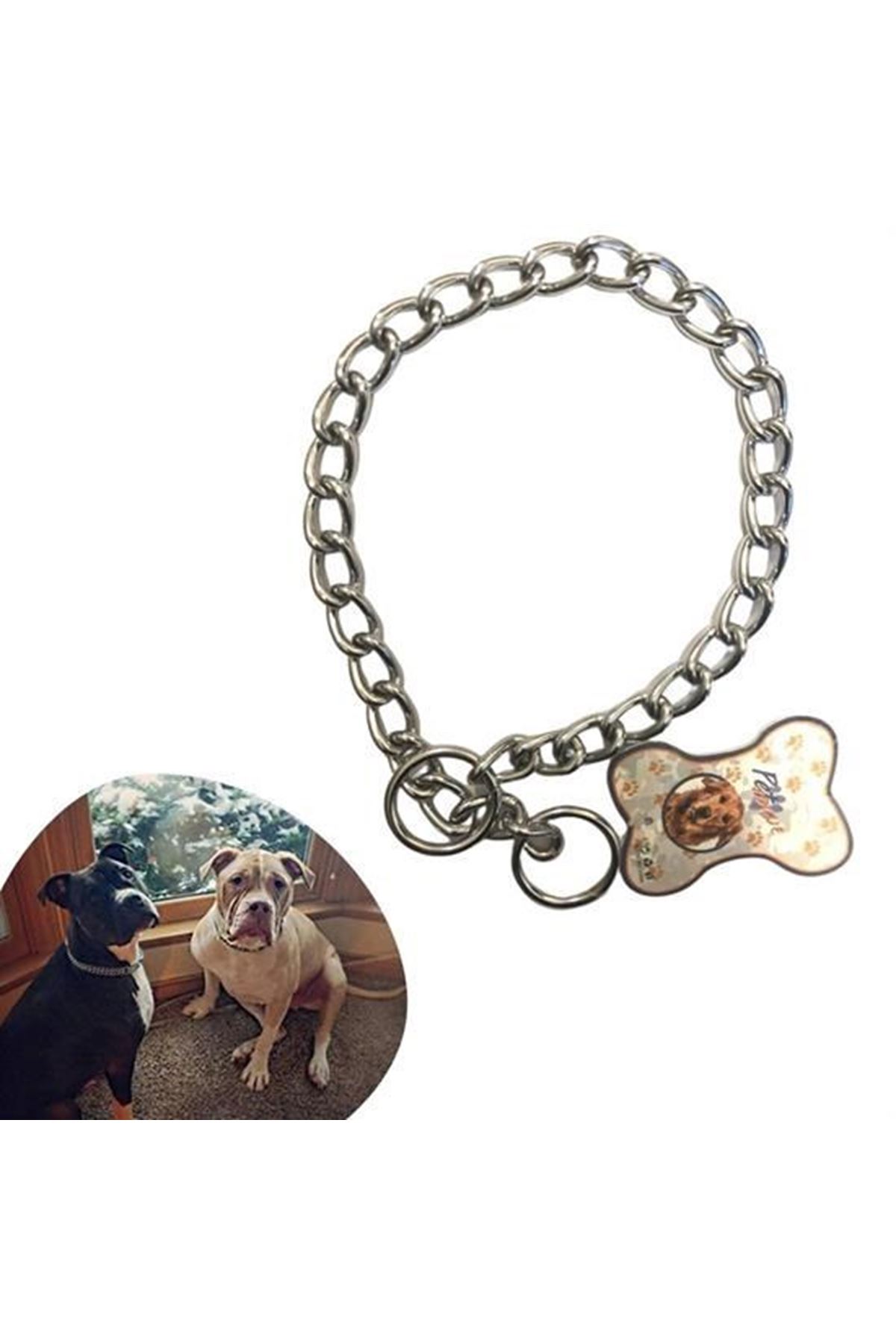 Tbl Dekor® 65 cm Uzunlukta Zincir Model Köpek İçin Boyun Tasması