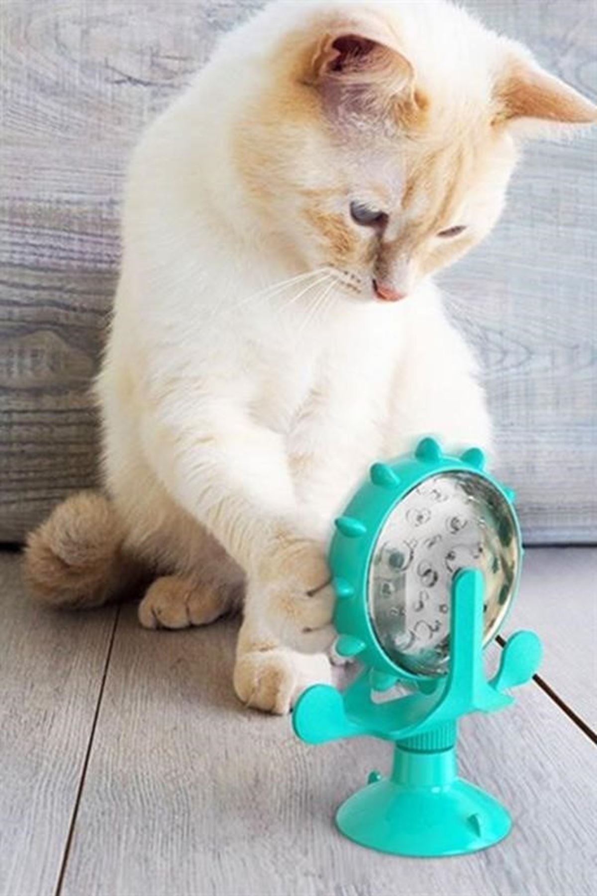 Tbl Dekor® Vantuzlu Zilli İnteraktif Dönebilen Mama Kaplı Renkli Eğlenceli Eğitici Kedi Oyuncağı