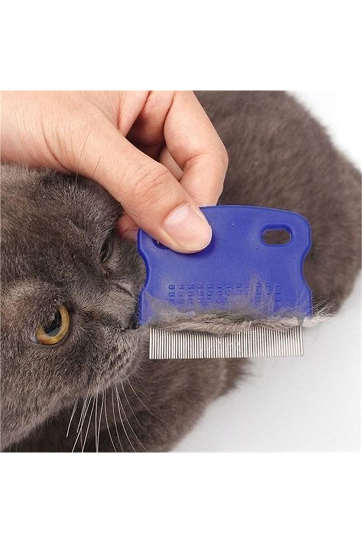 Tbl Dekor® Evcil Hayvan Kedi Köpek Pire Tarağı ve Köpek Gözyaşı Lekesi Tarağı